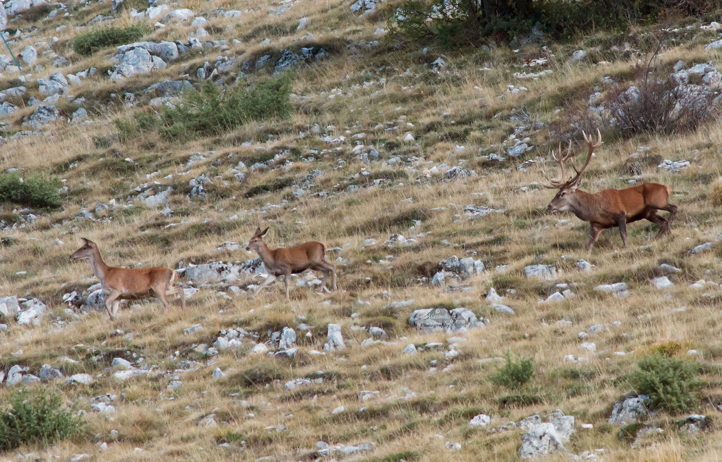 Famiglia al completo