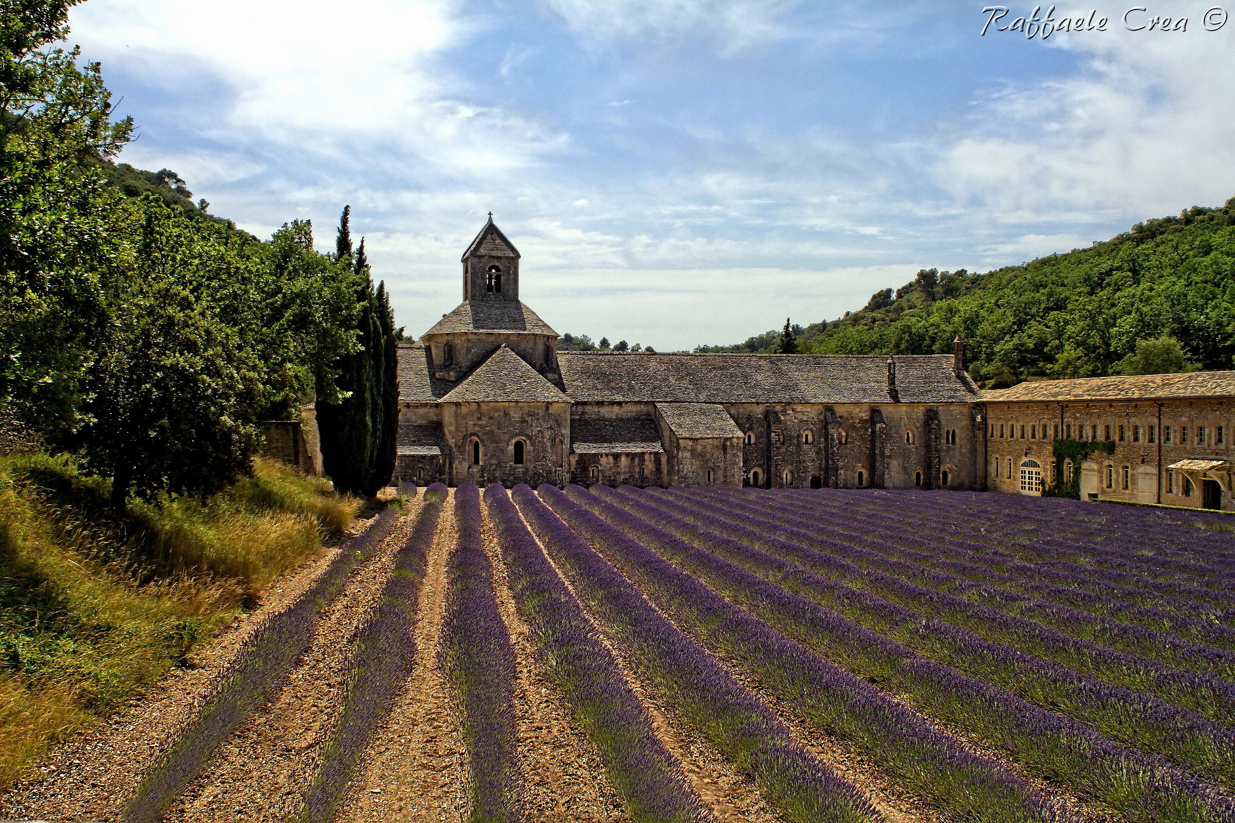 Provenza.Abbazia di Senanque