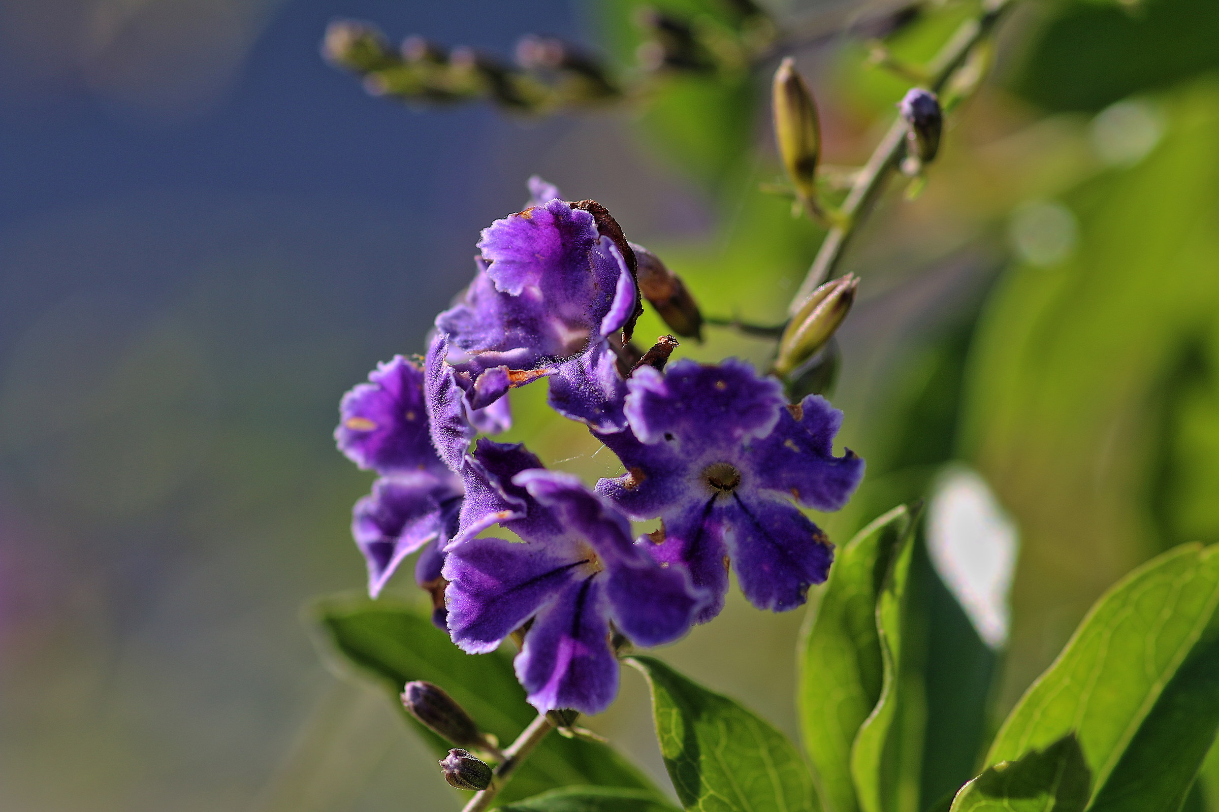 Bello..ma senza nome