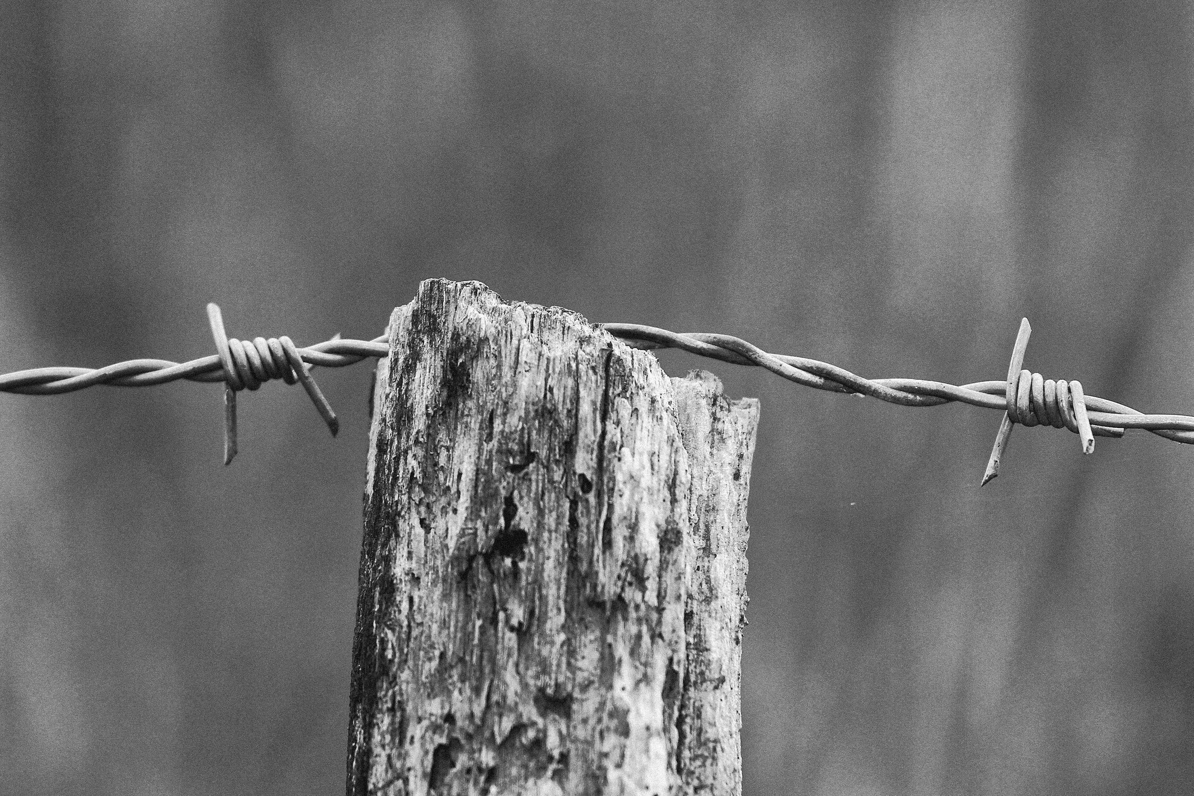 particolare di una vecchia recinzione...