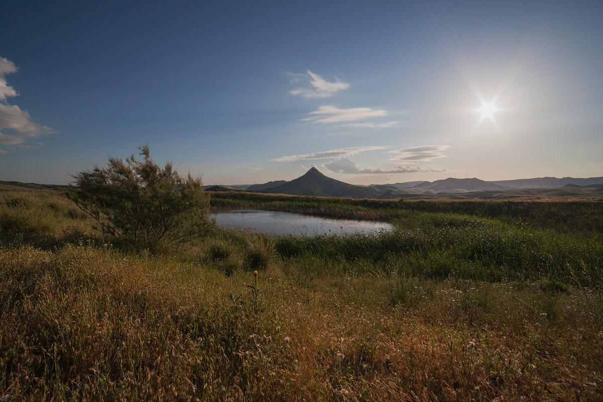 Monte cheese (Sicily)