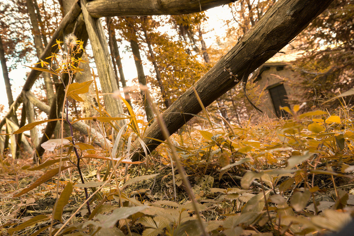 Loc. Cipriana - autumn