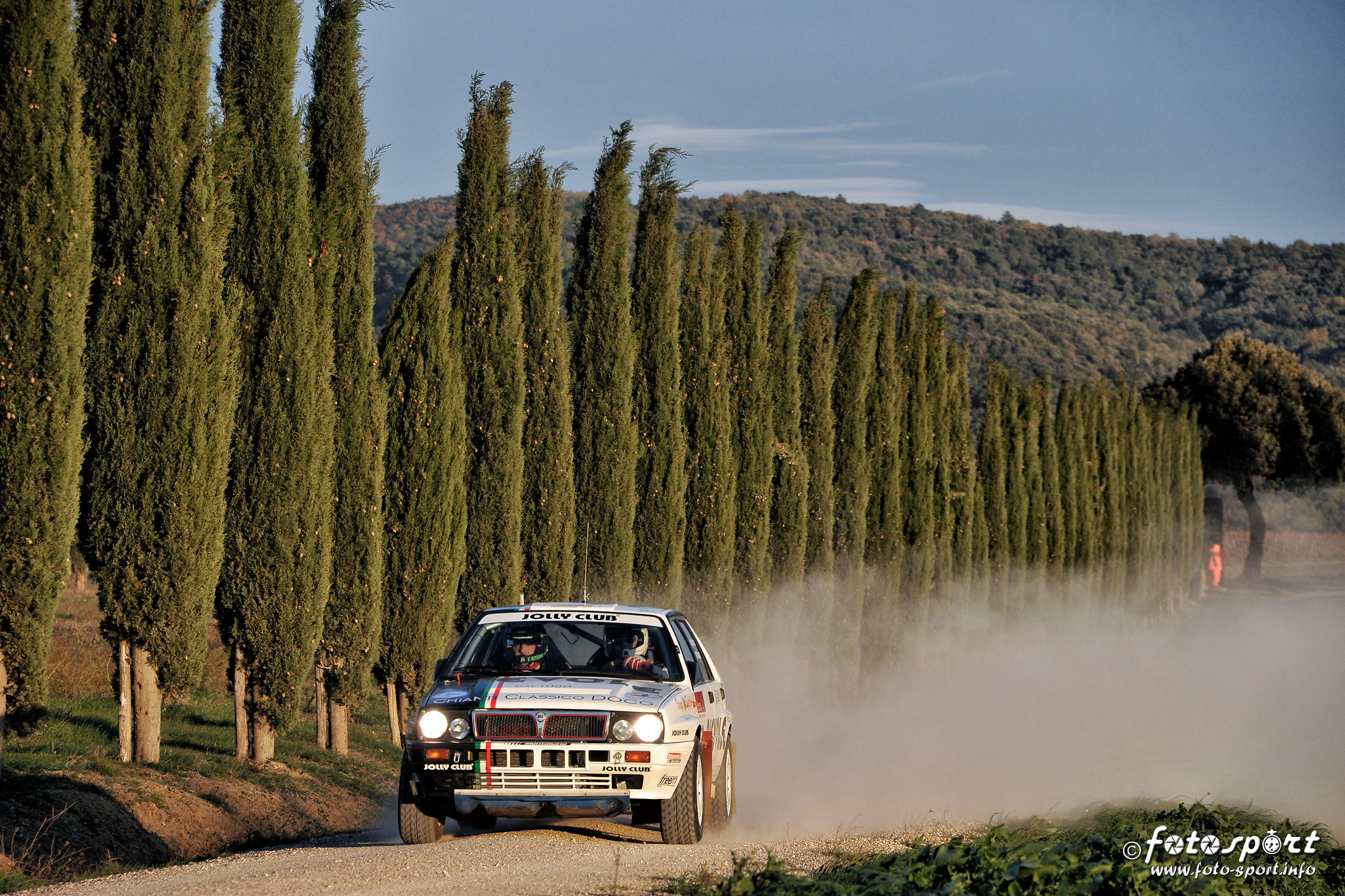 The cypresses di Montalcino