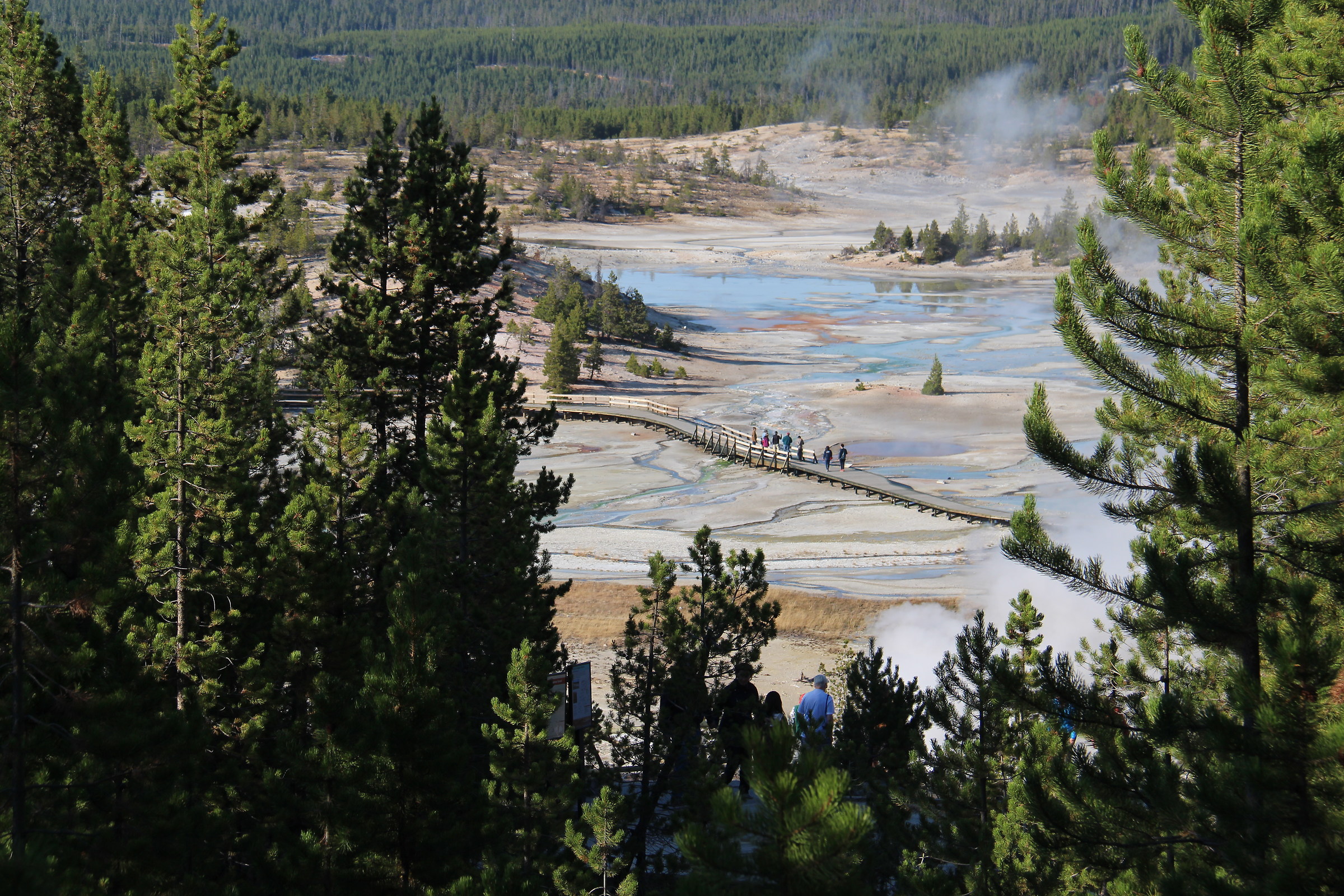 Yellowstone