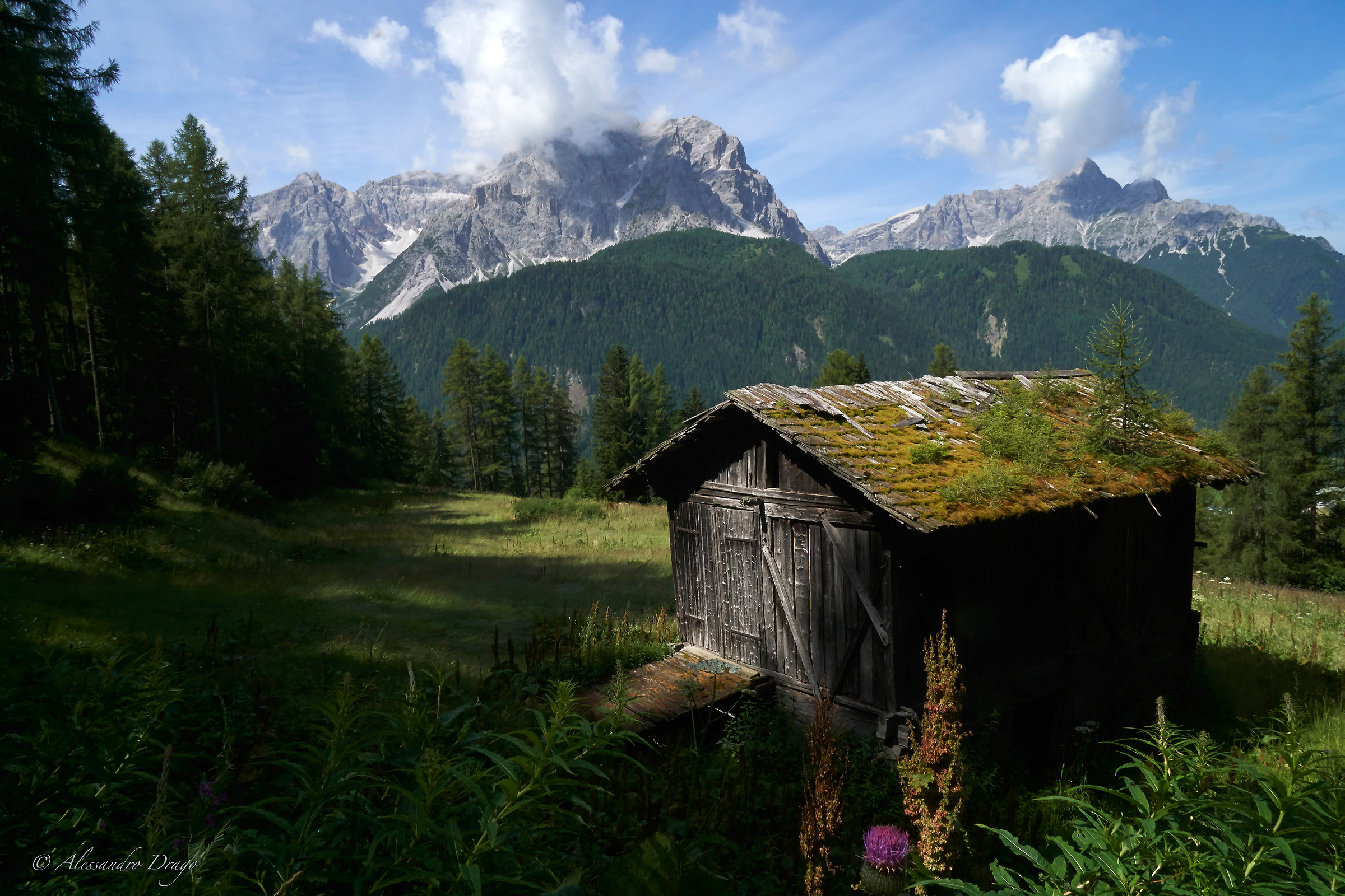 Sesto Dolomites (bz)