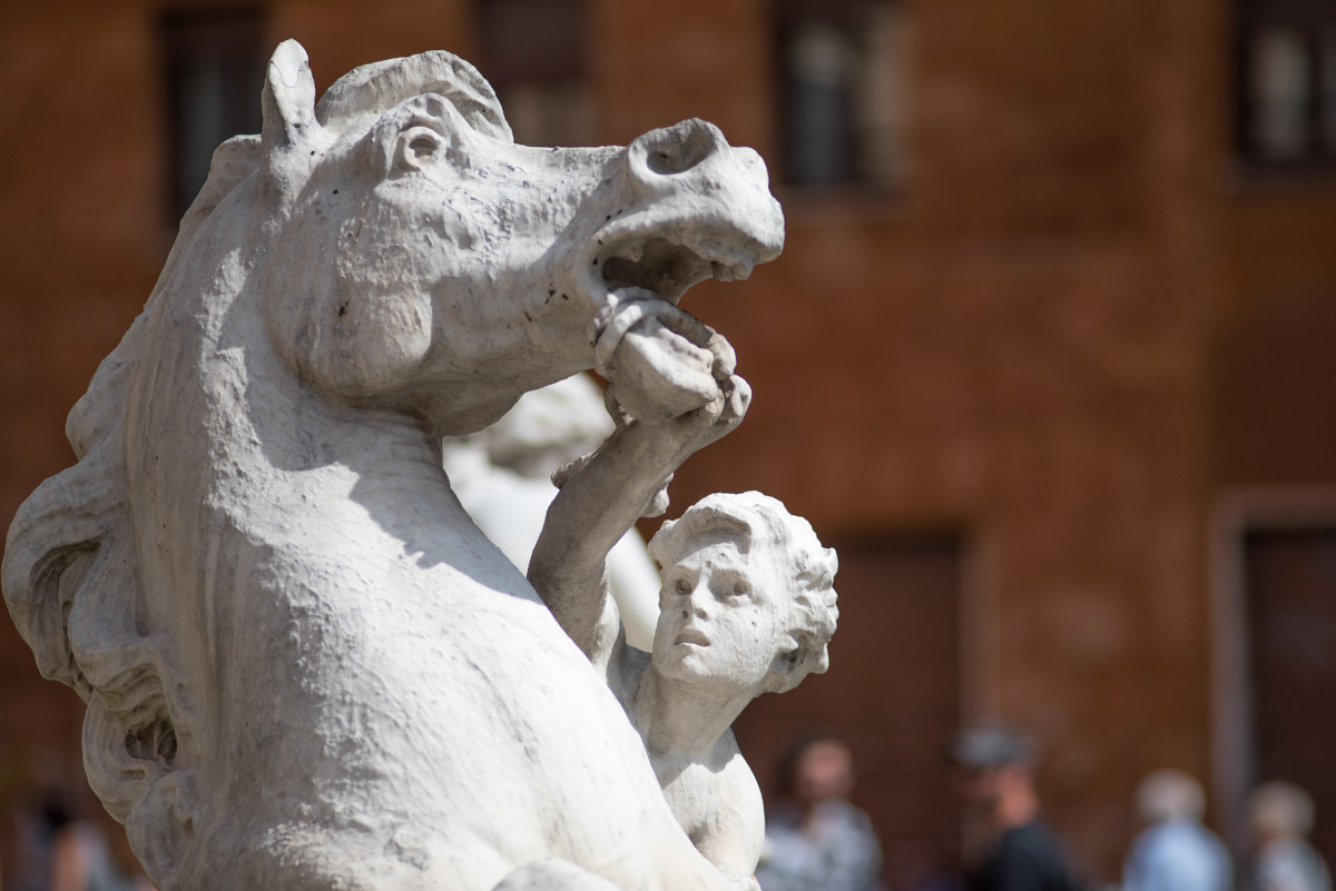 Dettagli Piazza Navona