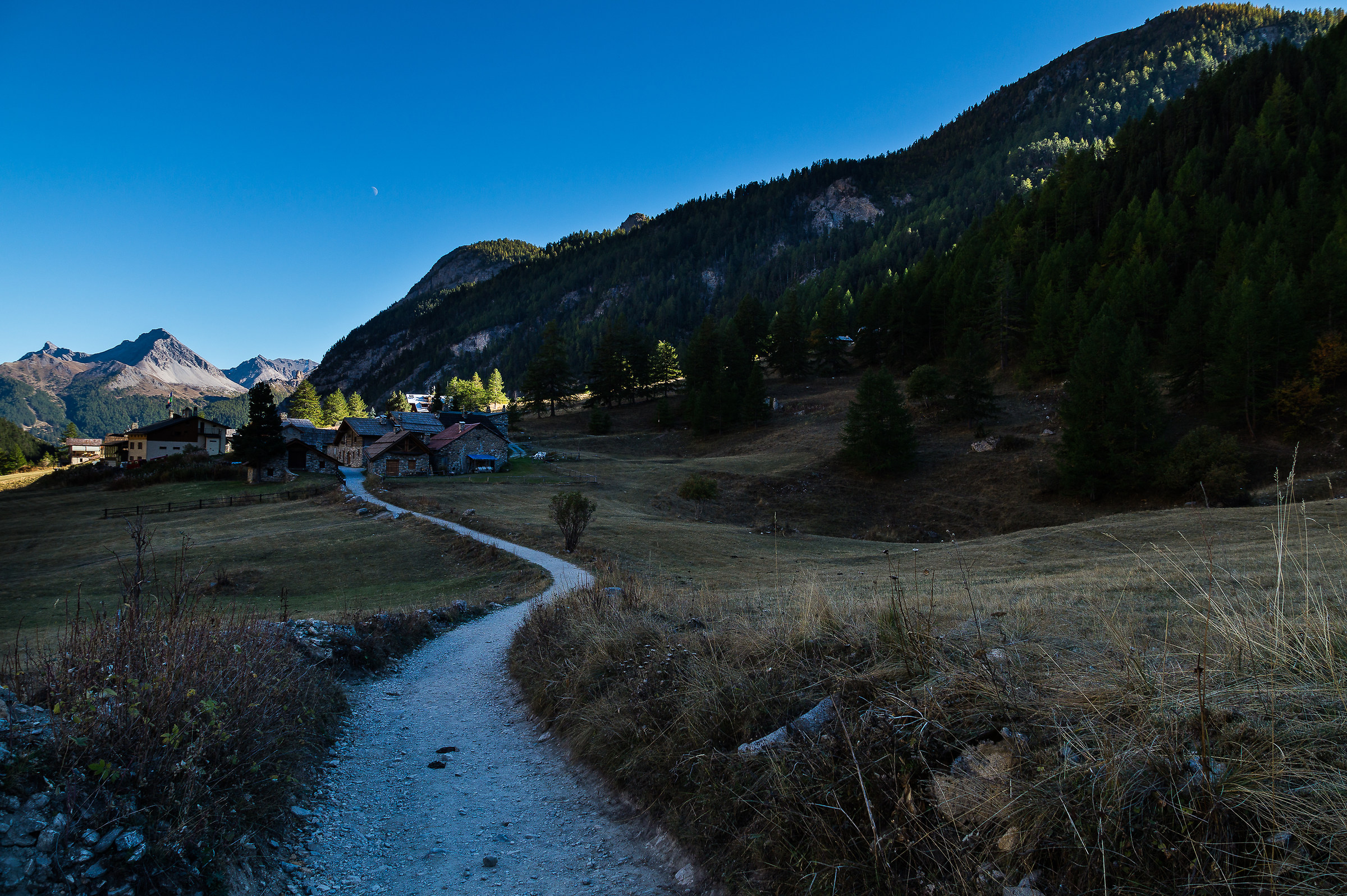 Towards the green lake