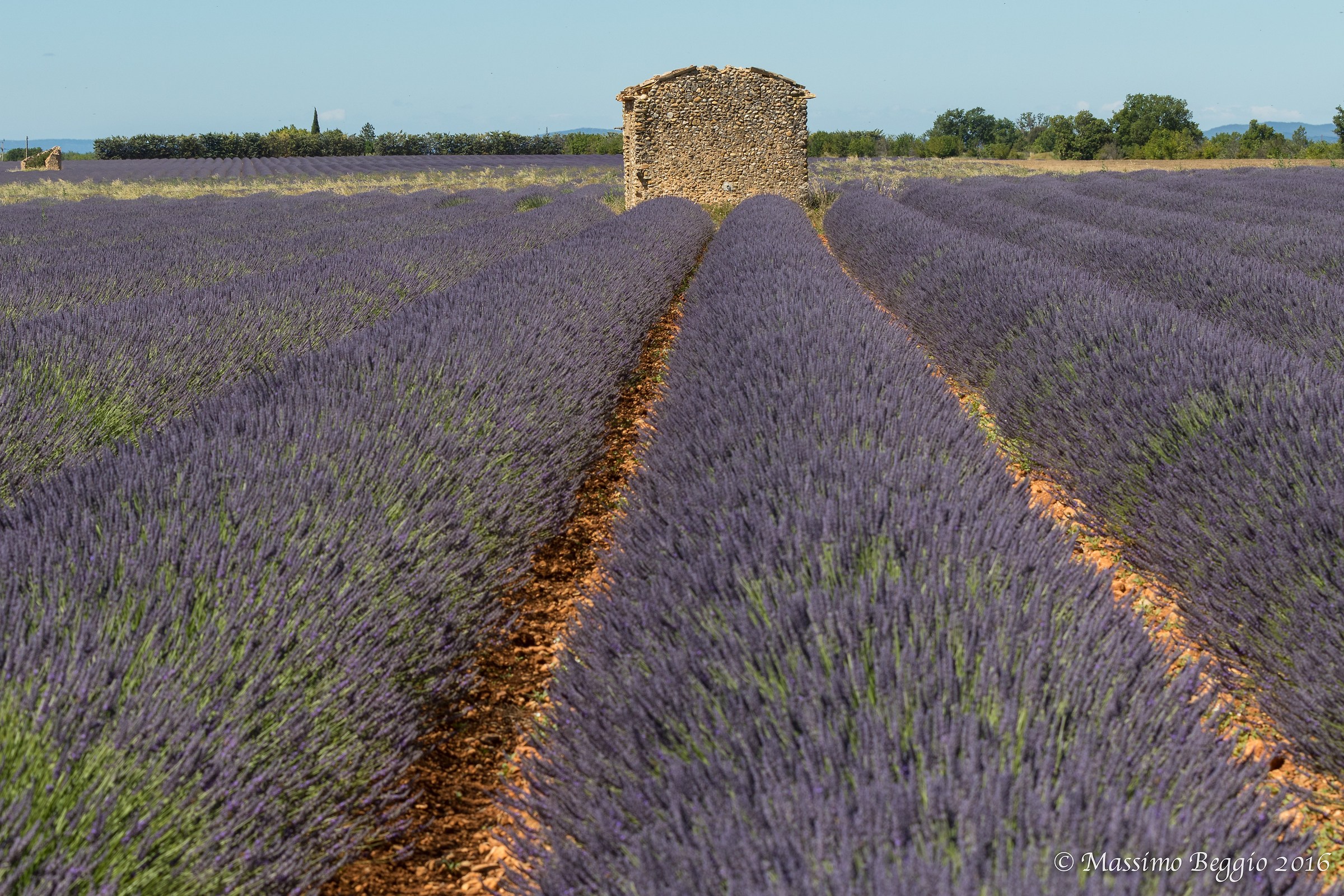 Valensole
