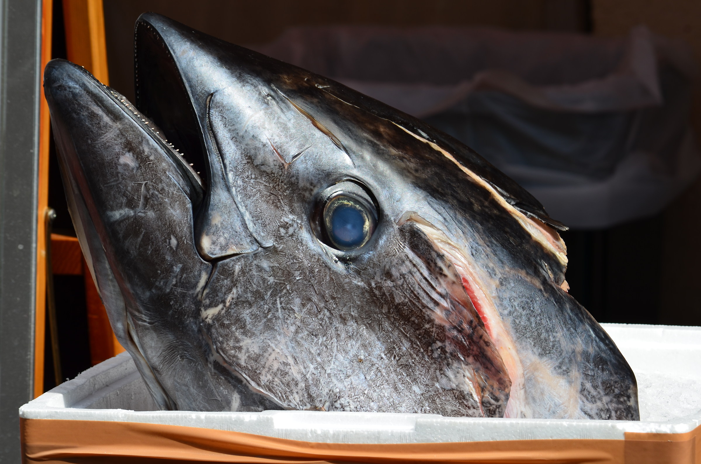 Mercato ittico di Tsukiji