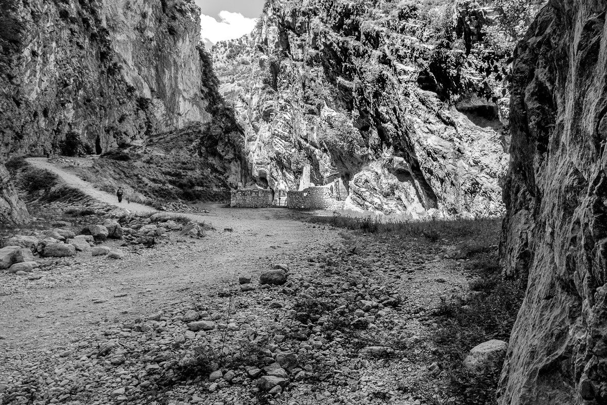 Il viandante nella storia