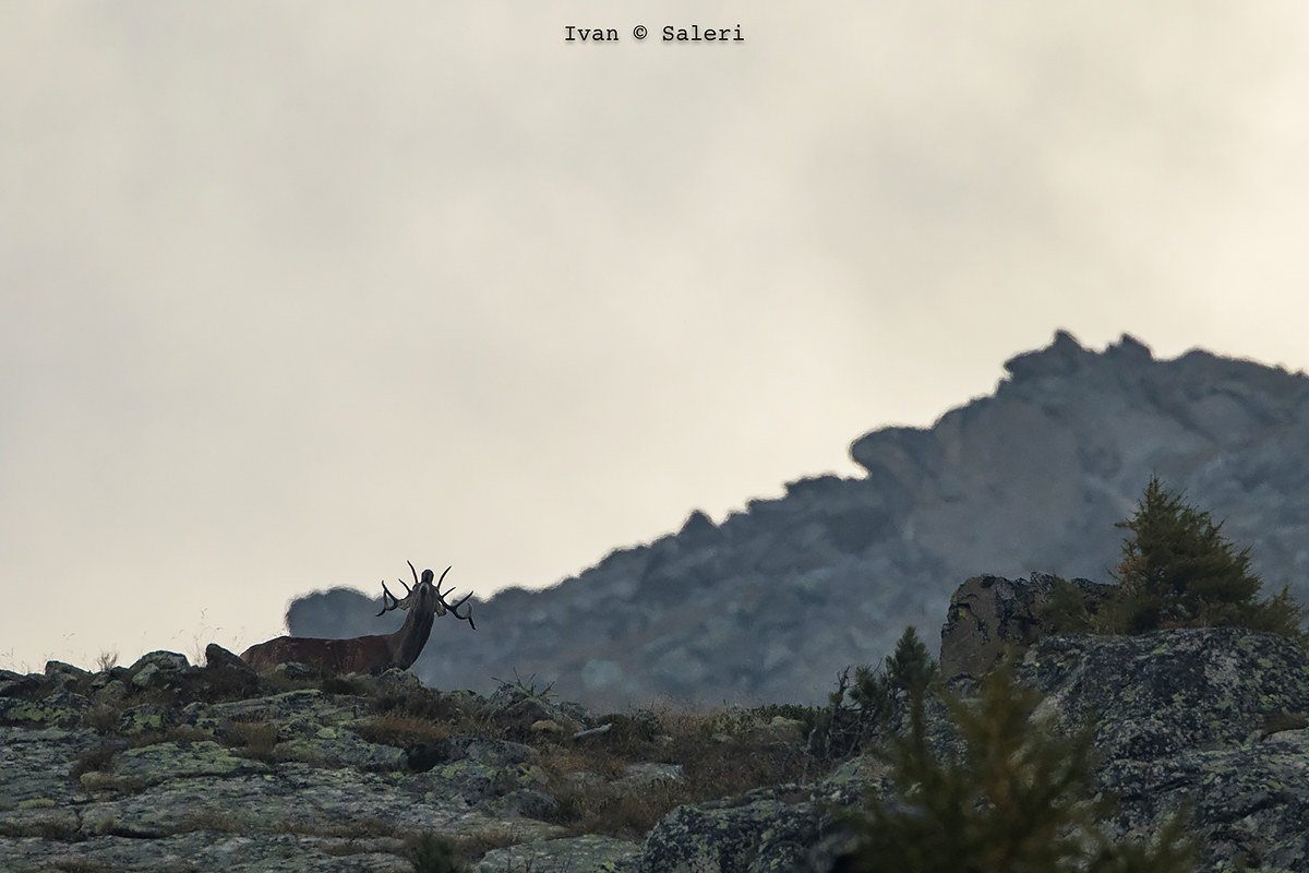 Screaming against heaven !!!