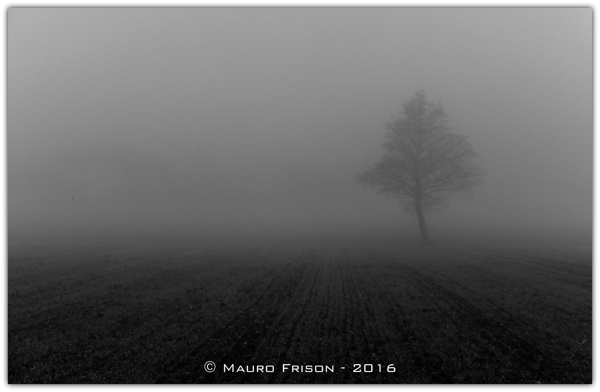 Appearances in the fog