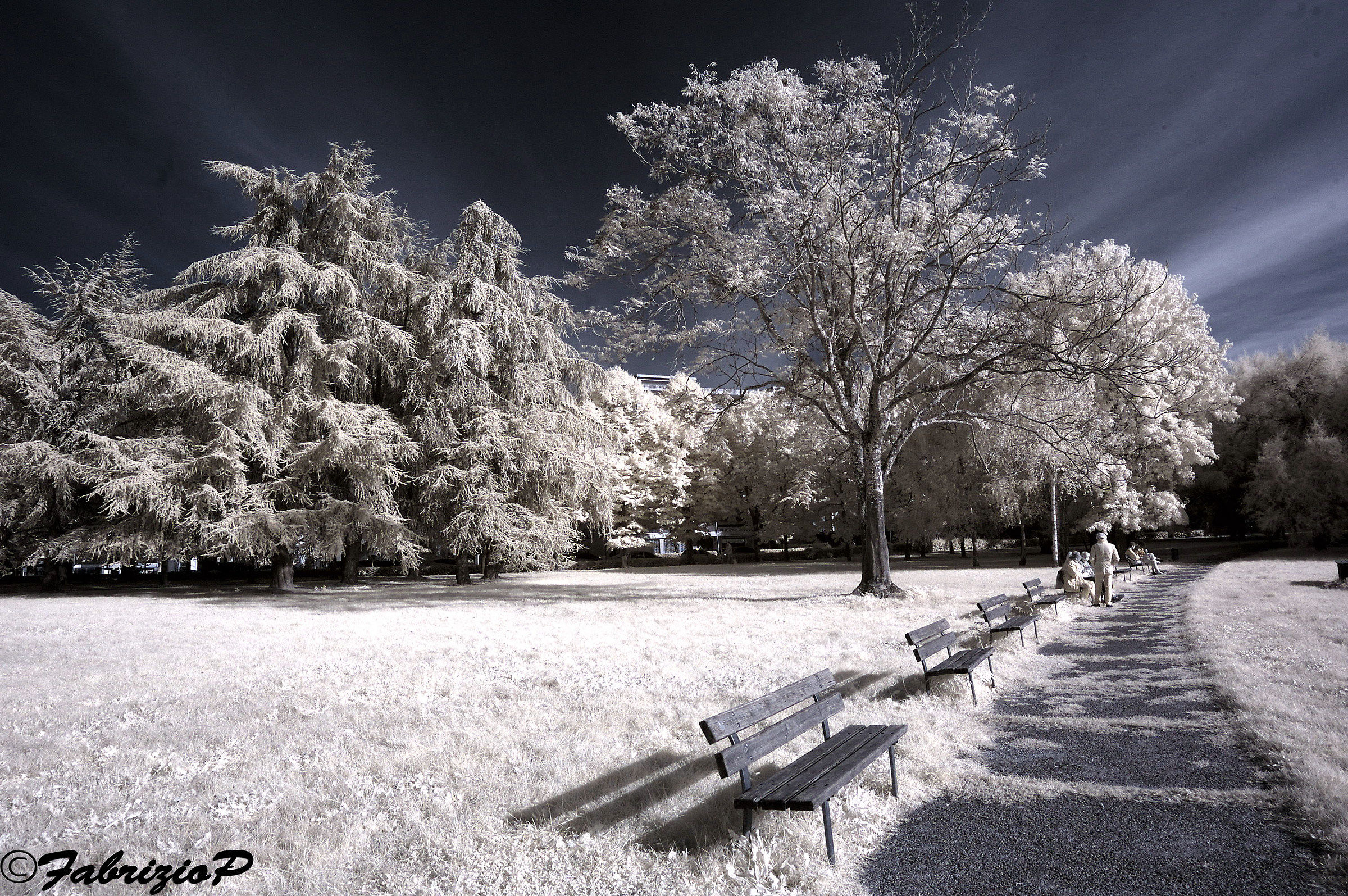 The path in the park ....
