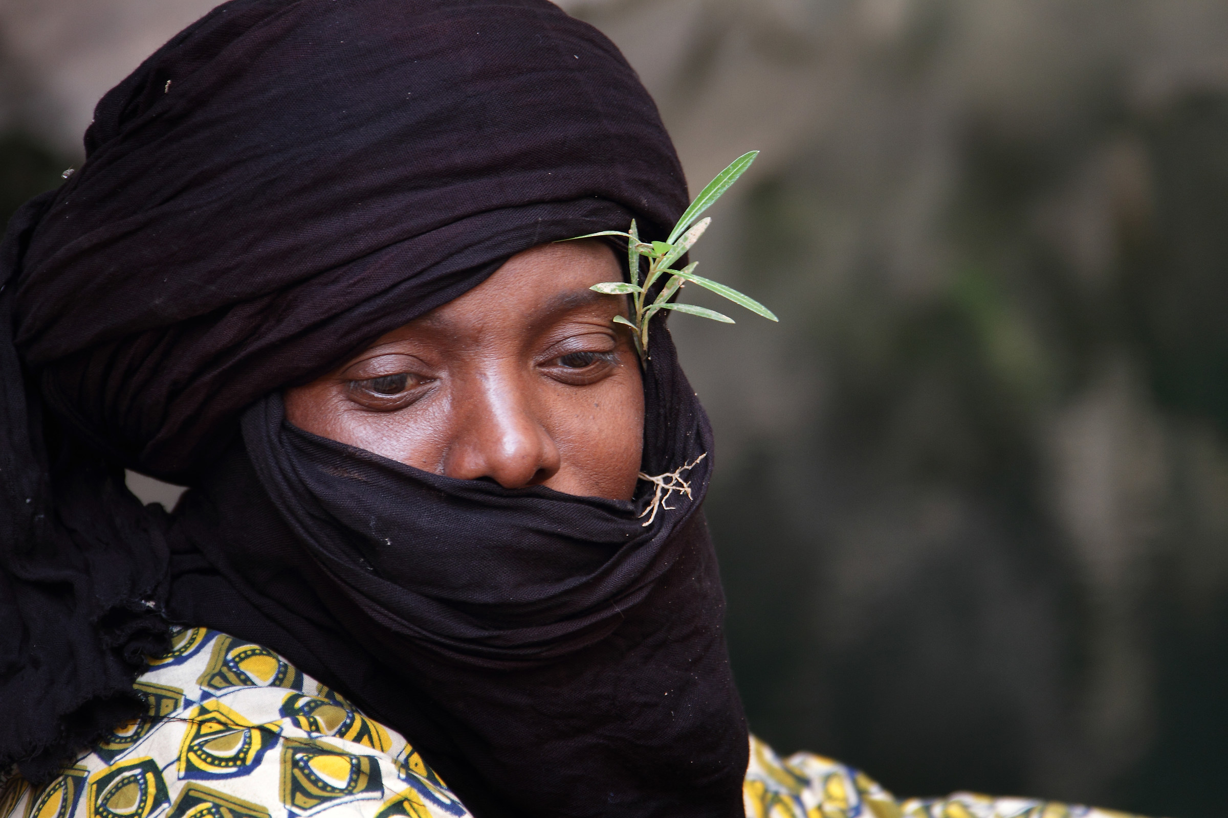 erg tihodaine-Tuareg