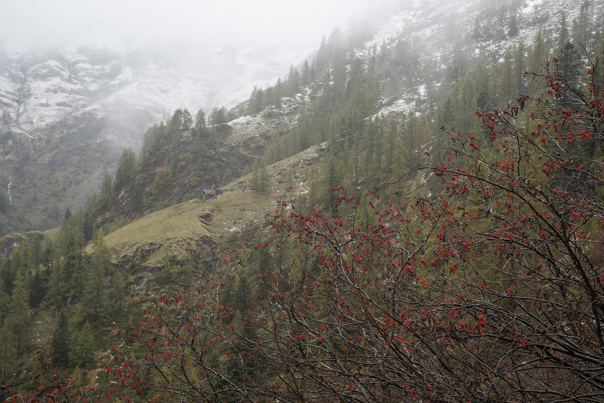 Rimasco- Alpe Casera Vecchia