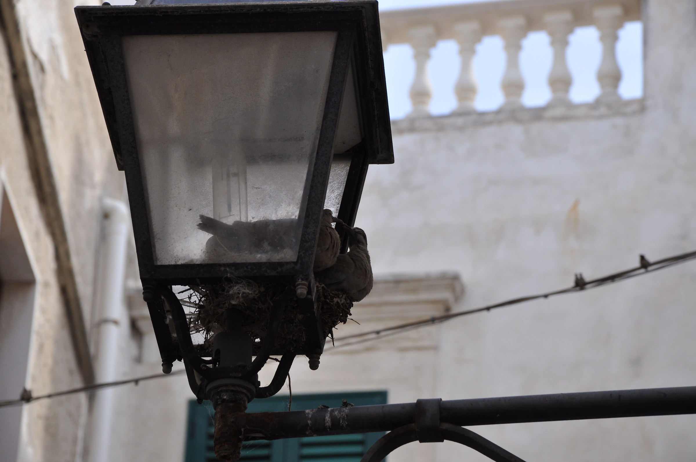 "Studio" ... true love.