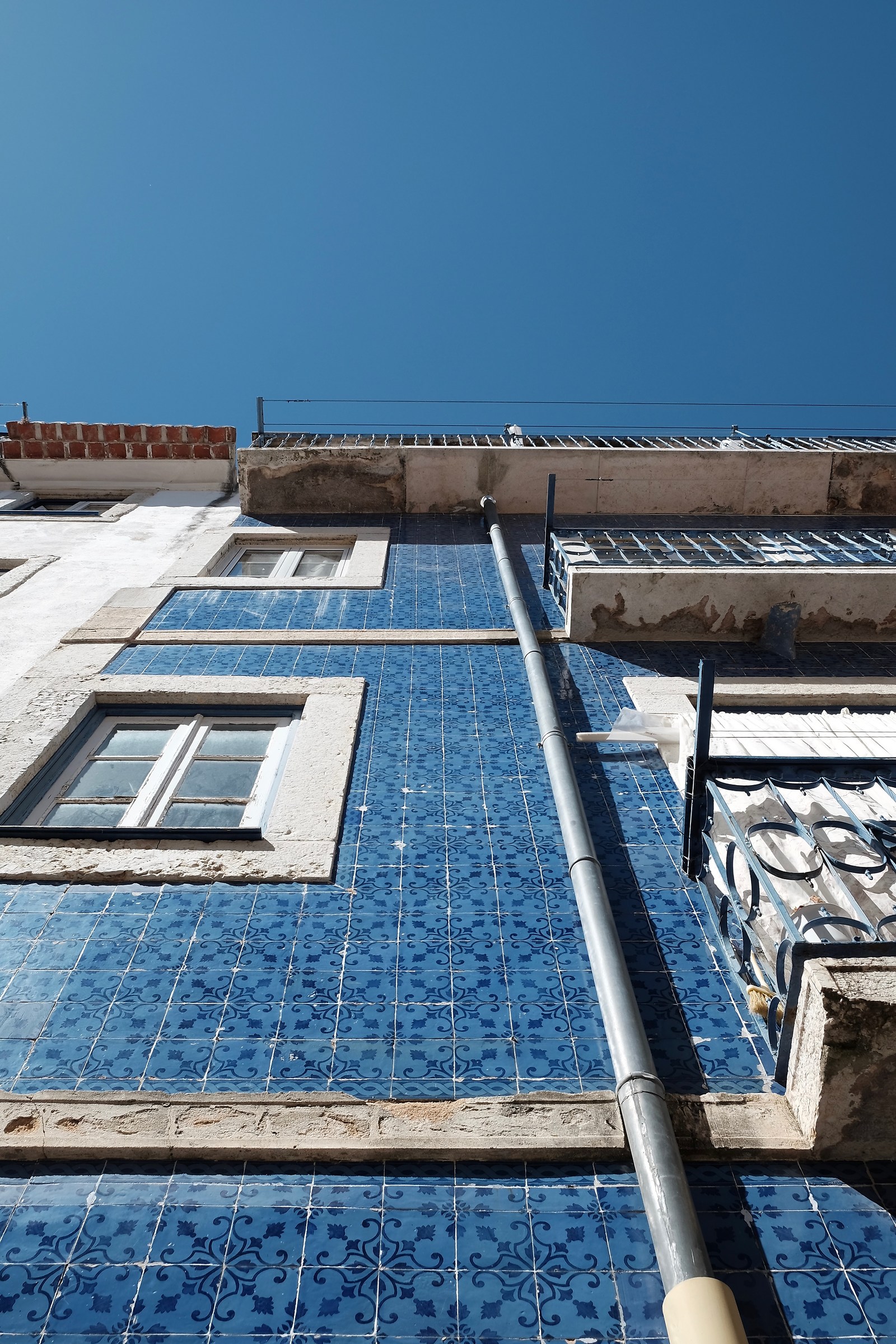Azulejos in azzurro