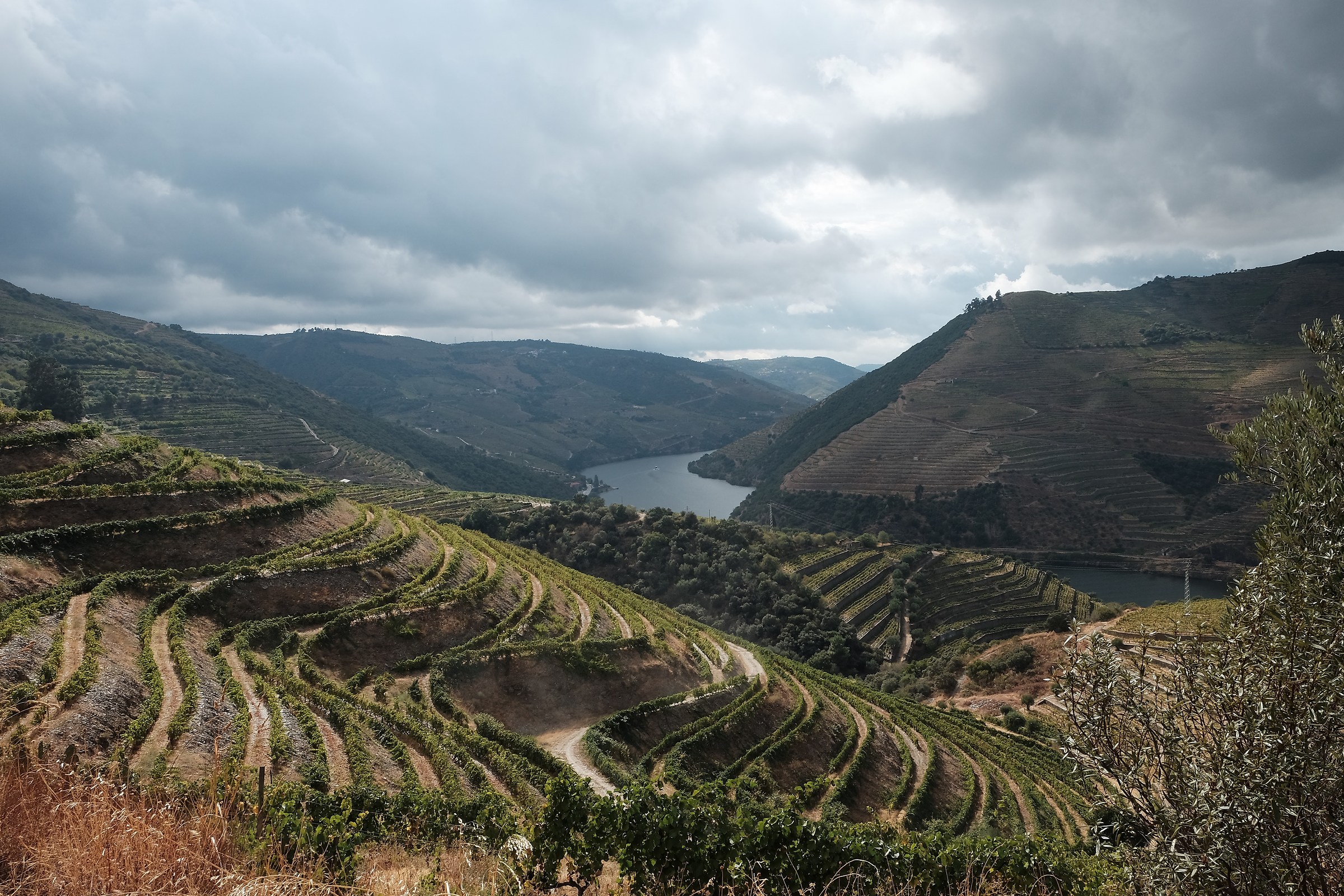 Douro valley
