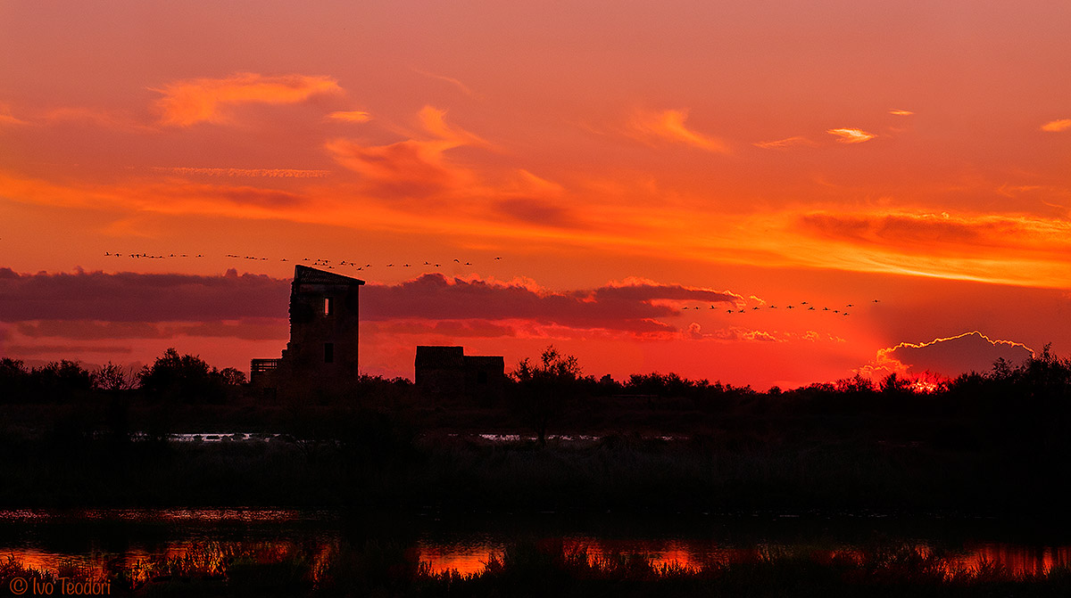 Comacchio: The salt marshes