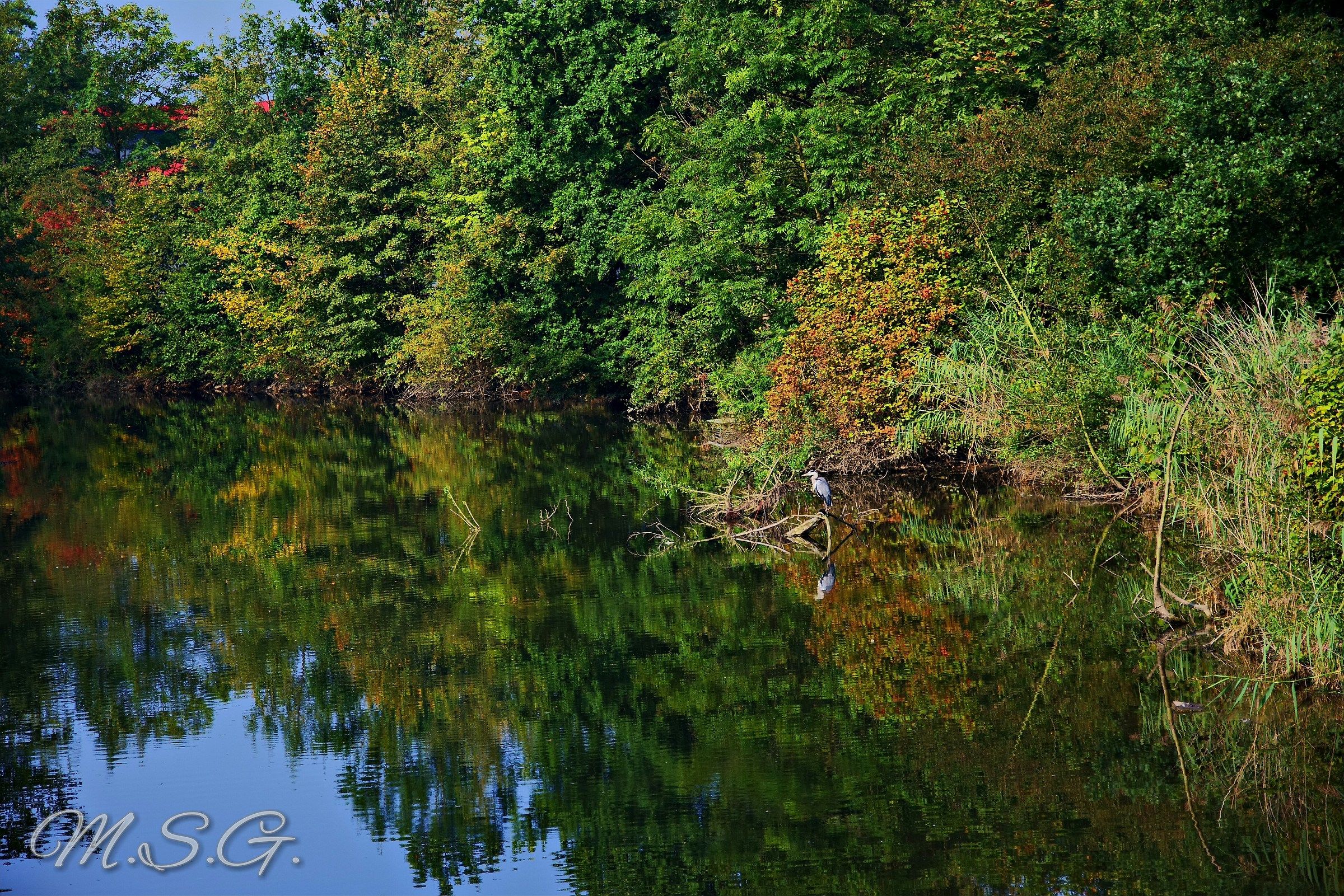 Aspettando l'autunno