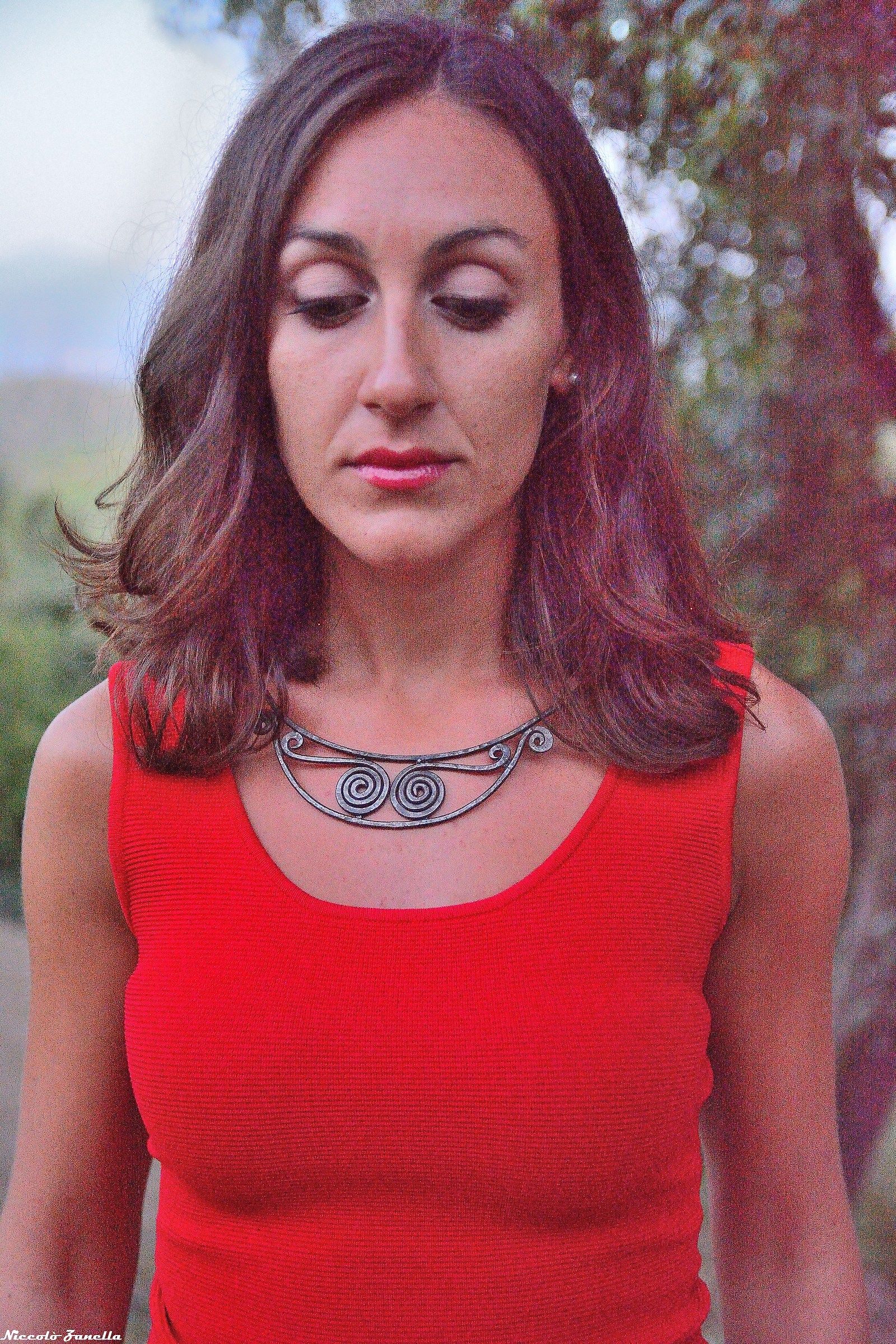 Nel bosco al tramonto