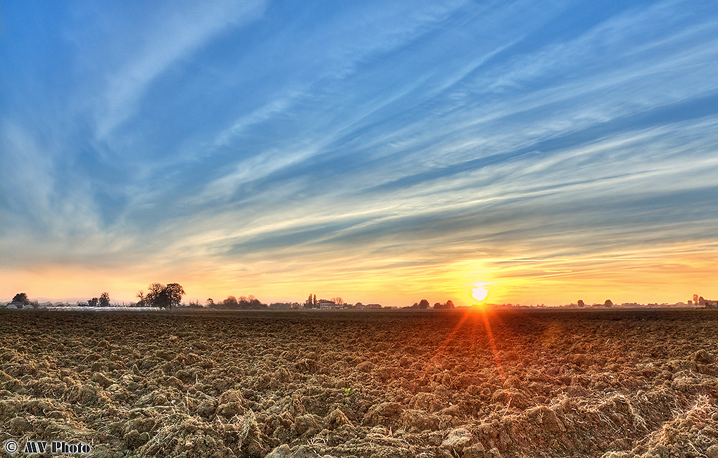 Veduta sui campi nei dintorni di Granarolo dell'Emilia