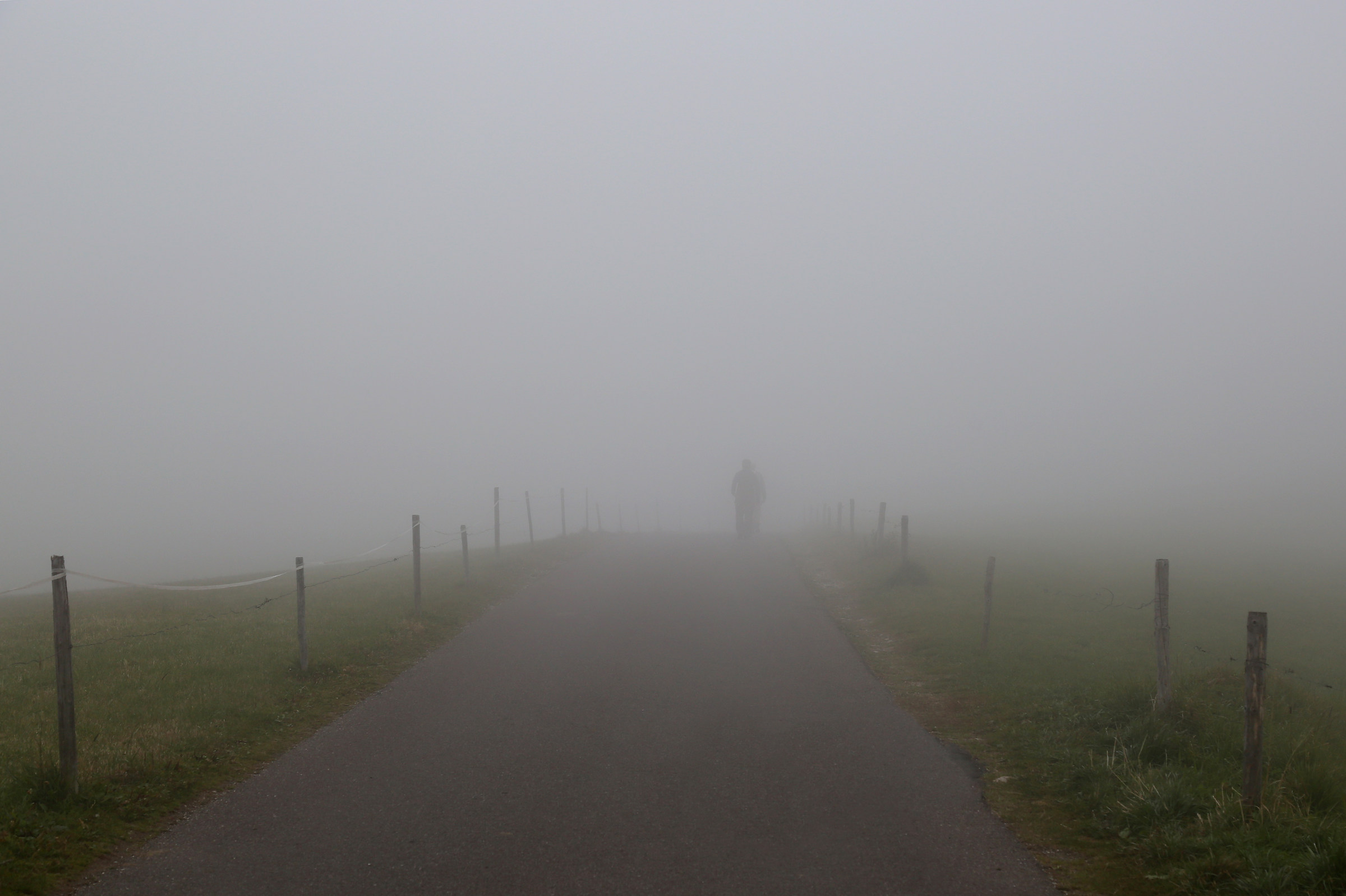 Silhouettes in the mist