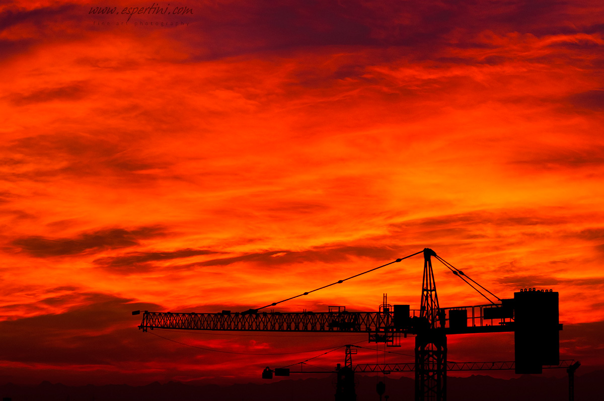 Cranes in a Fiery Sky