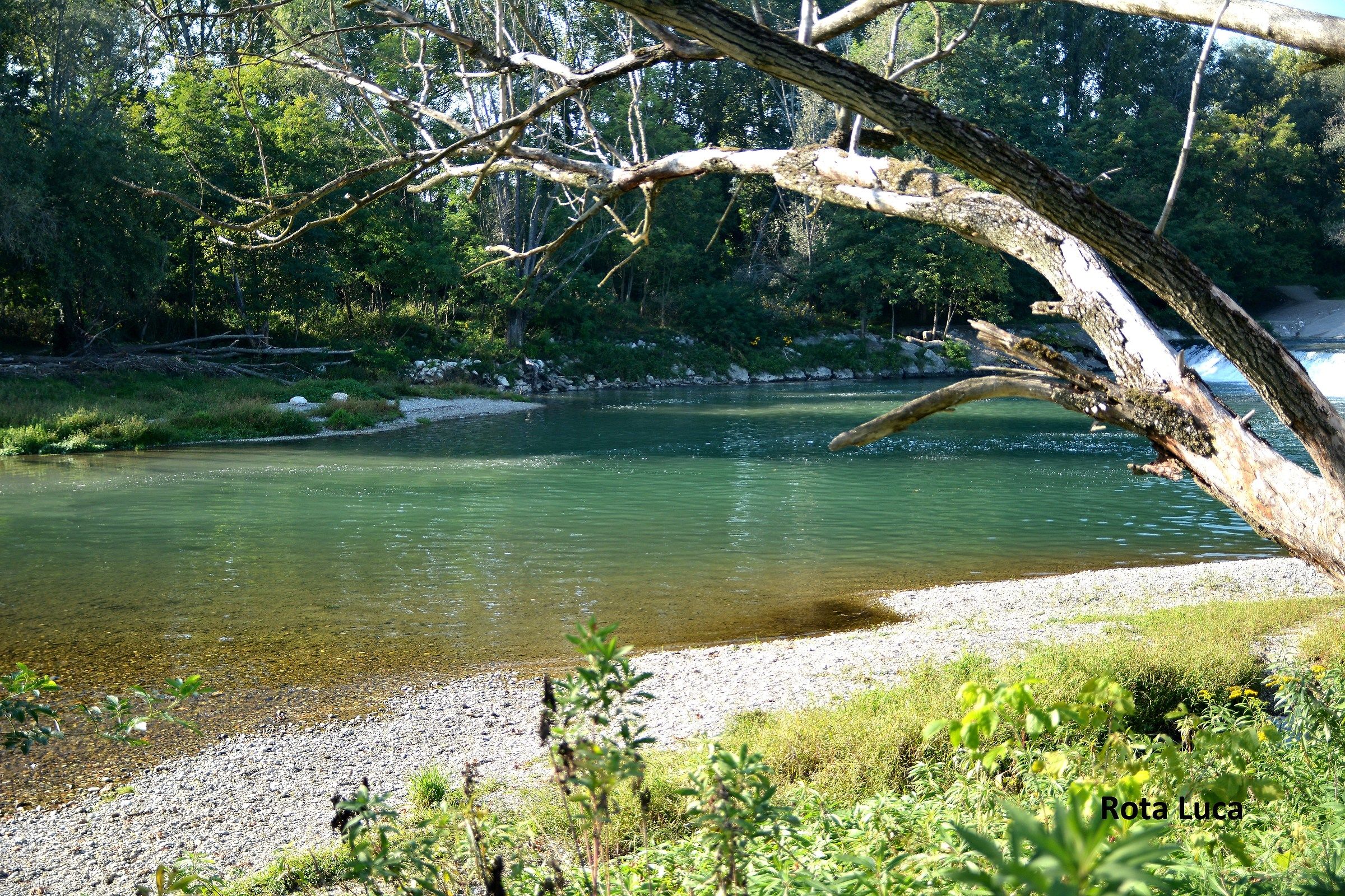 fiume serio a ricengo