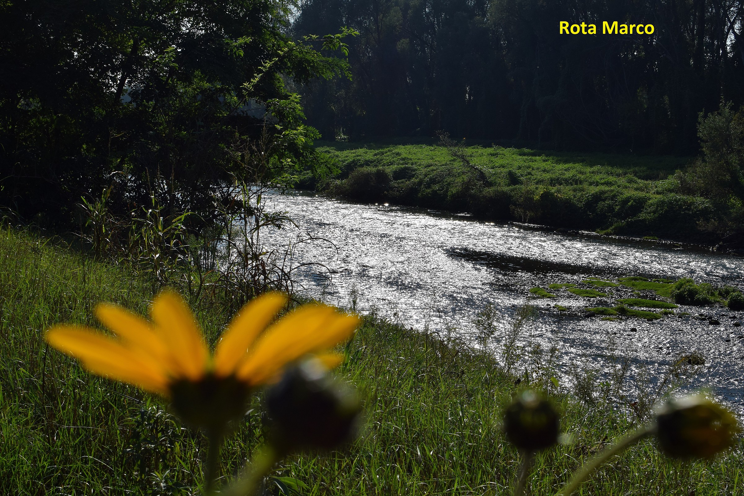 fiume serio controluce
