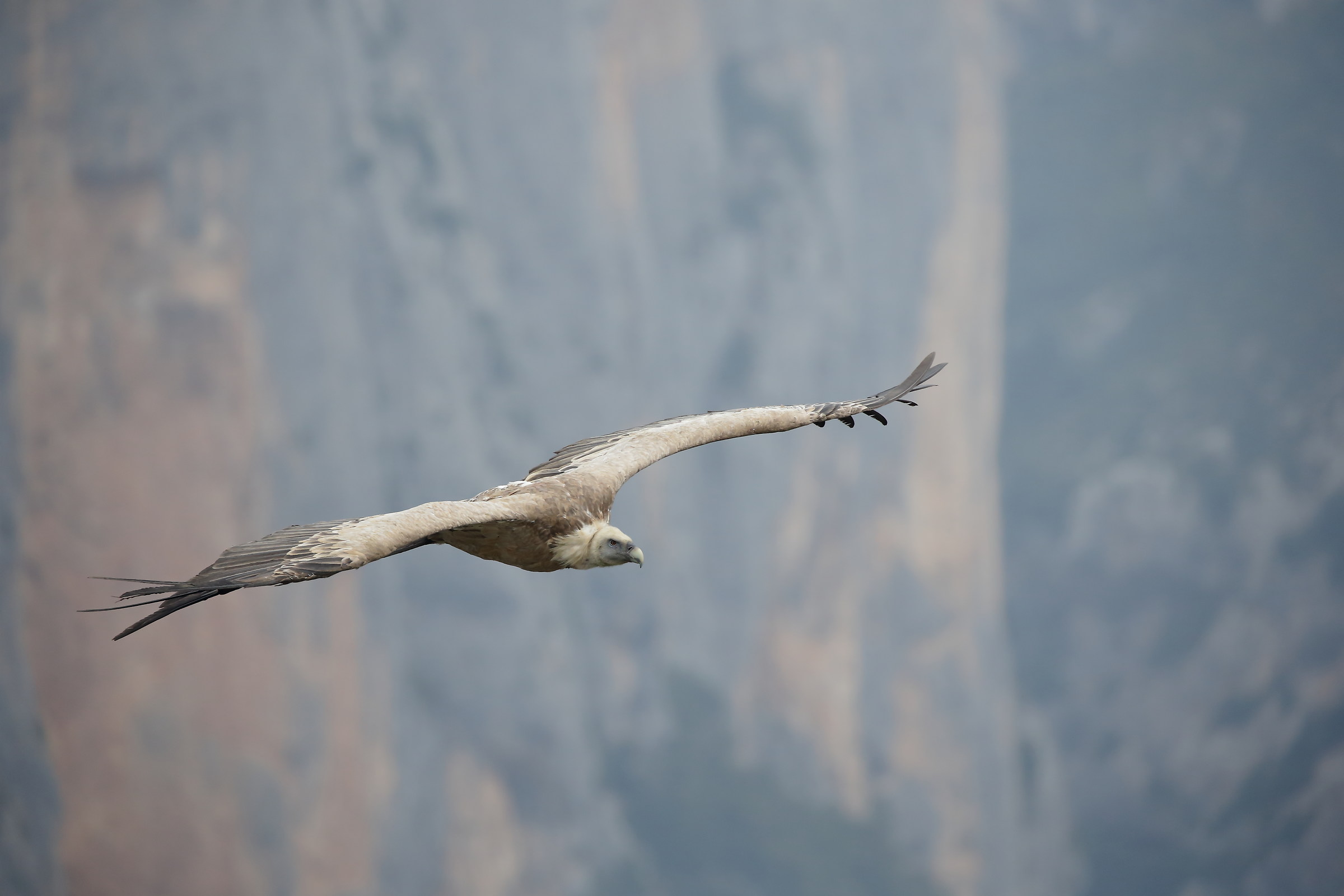 Verdon Gorges