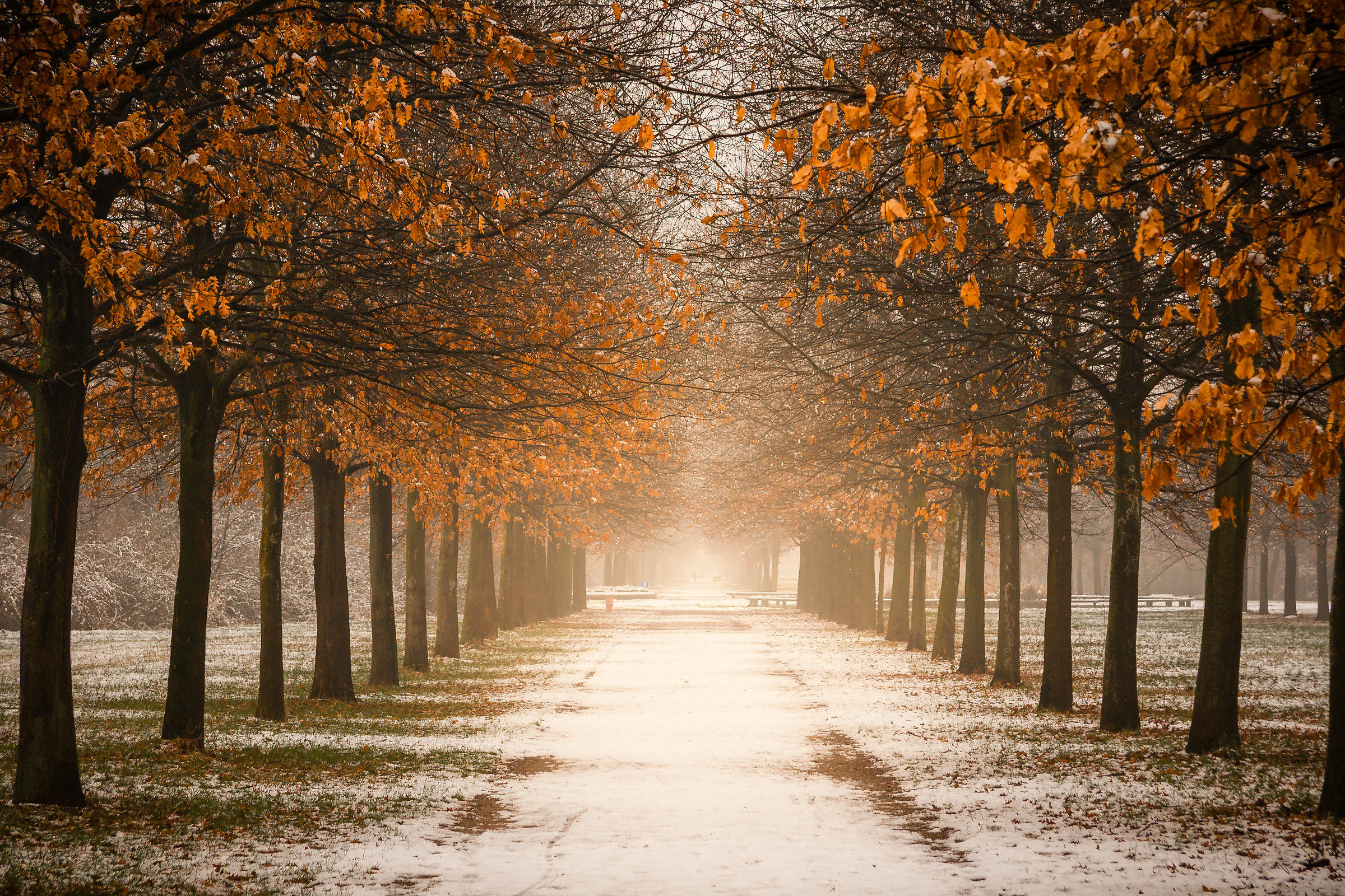 Mi sono perso...dietro casa!