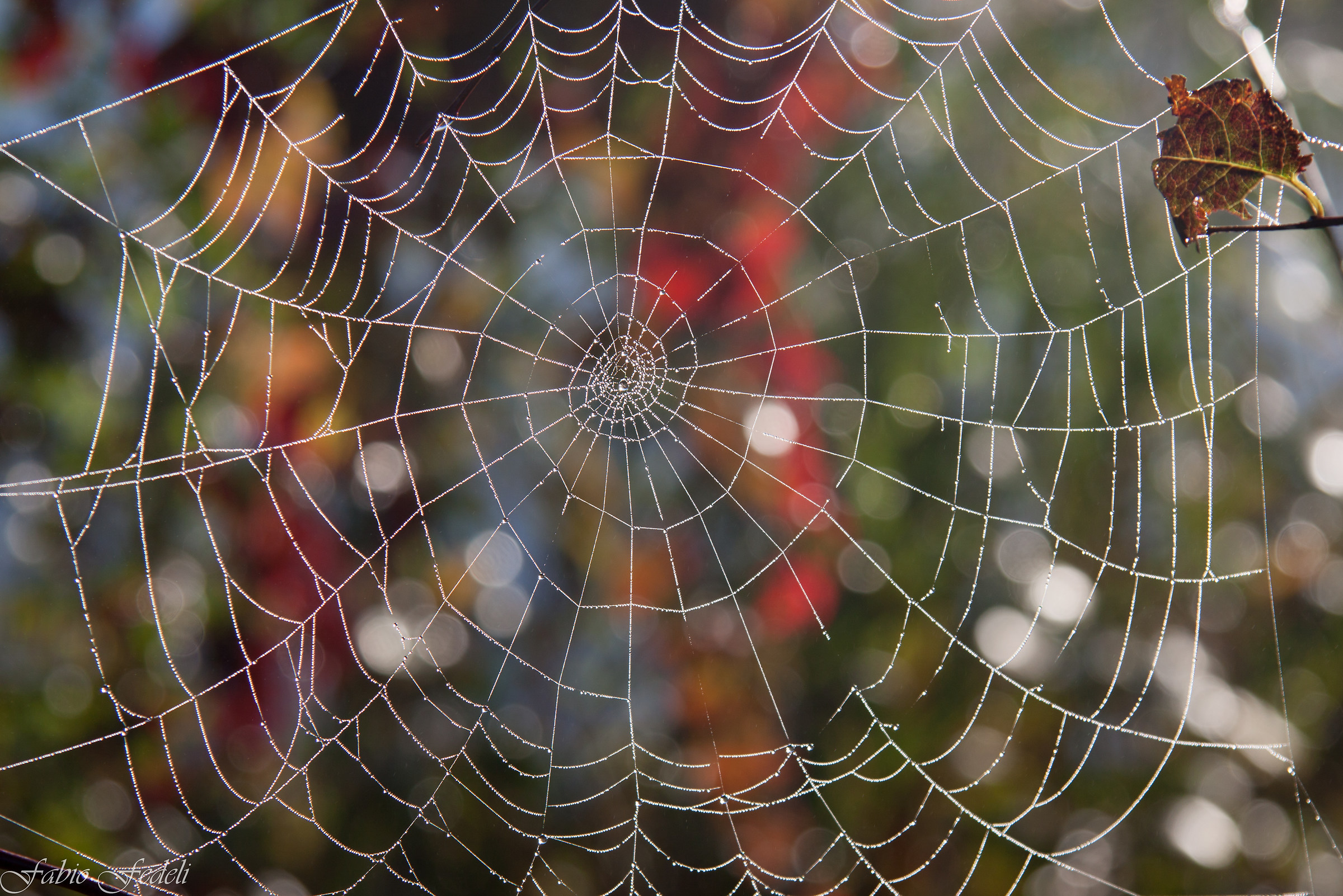 catching color canvas