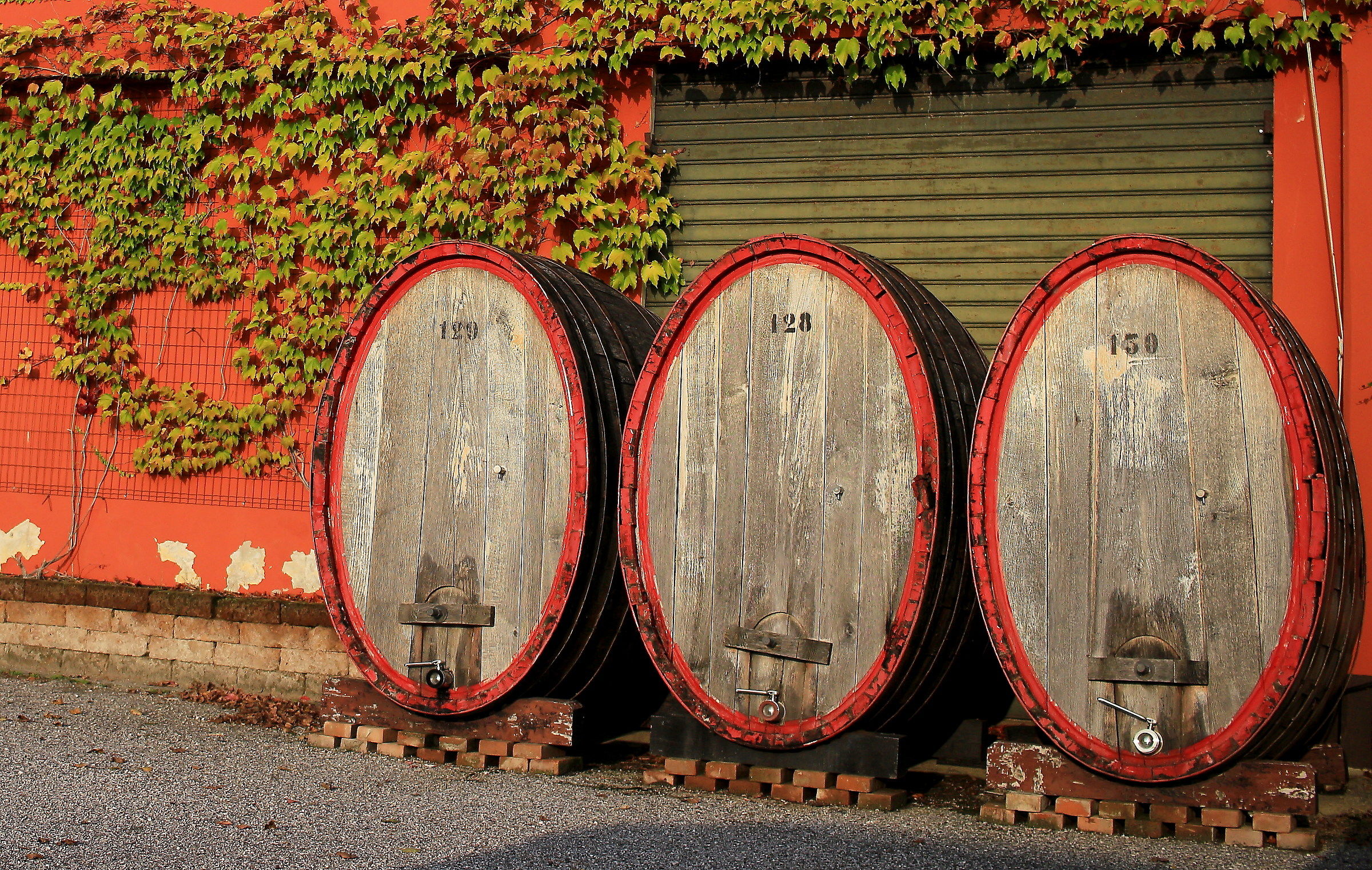 Nella botte piccola...