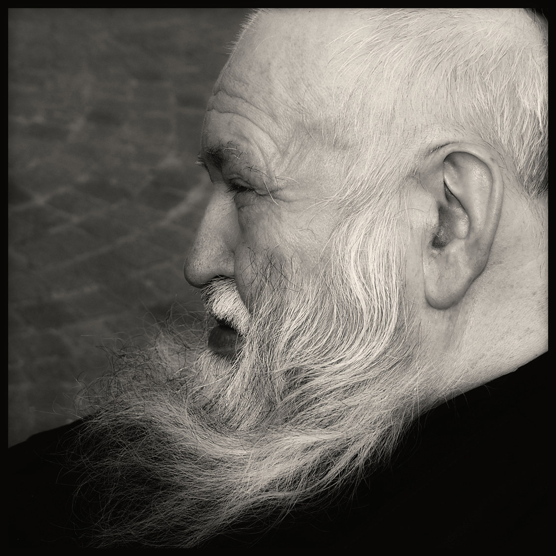 ' Hermann Nitsch foto Augusto De Luca '