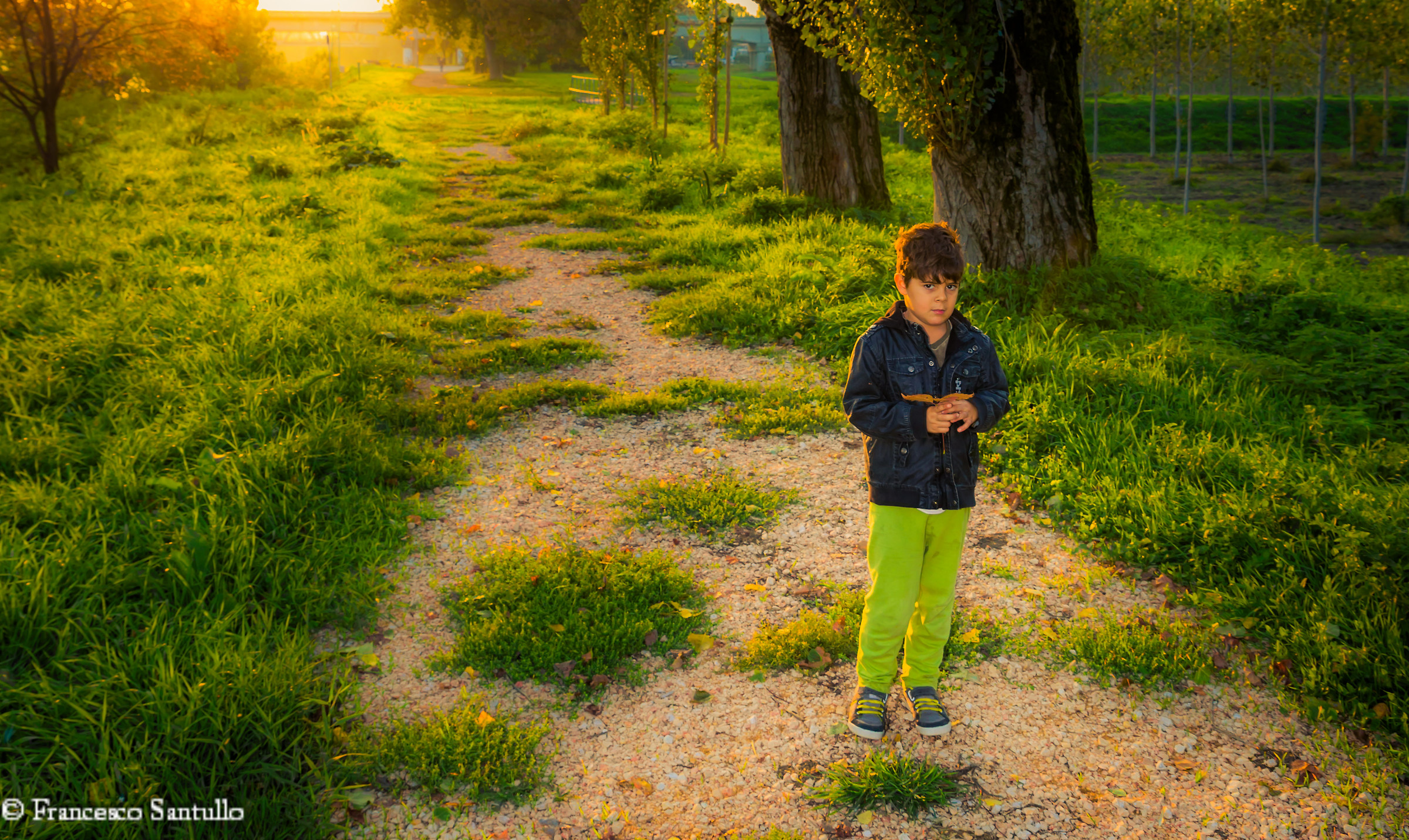 portrait with sunset in fall n2
