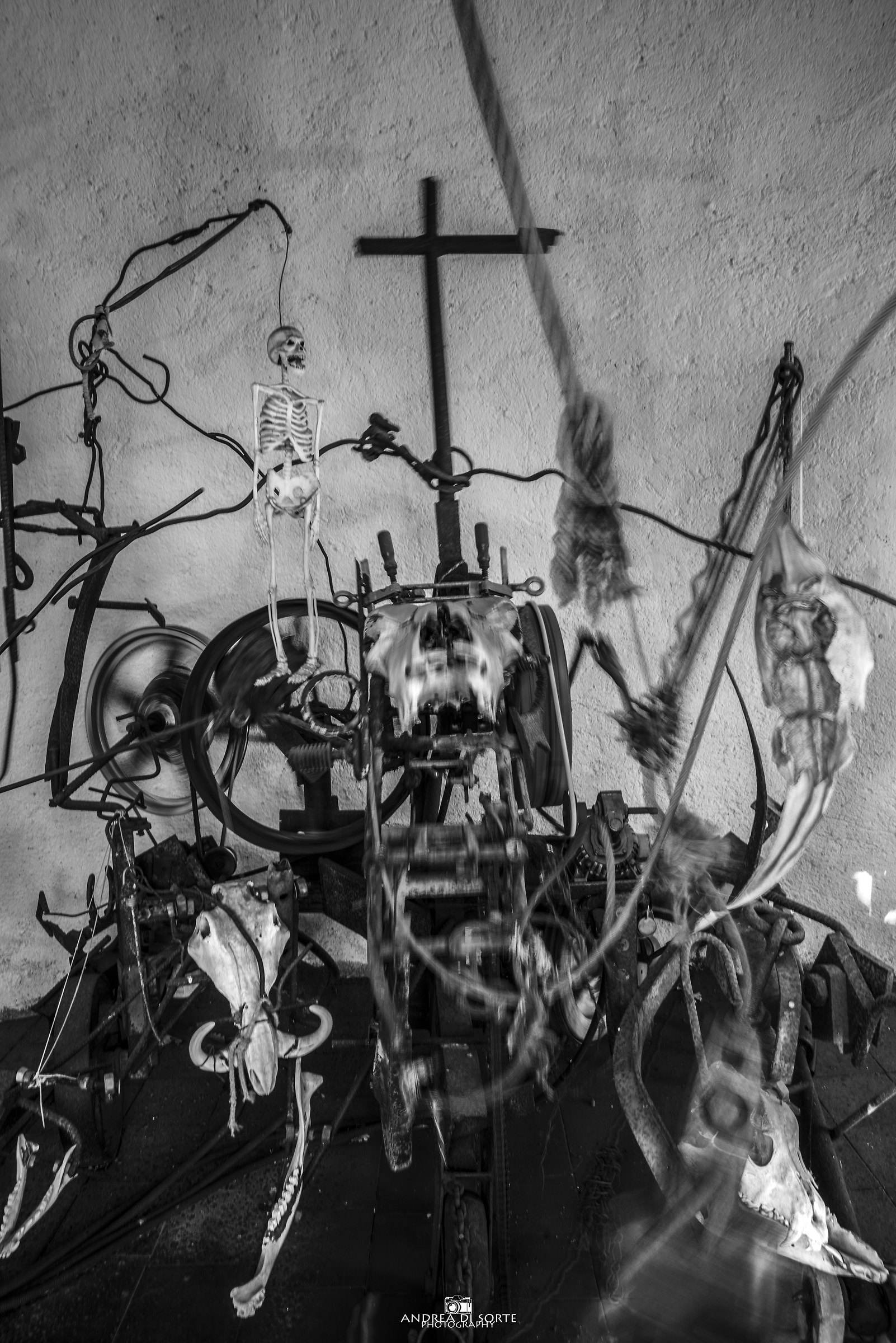 i tarocchi di Capalbio