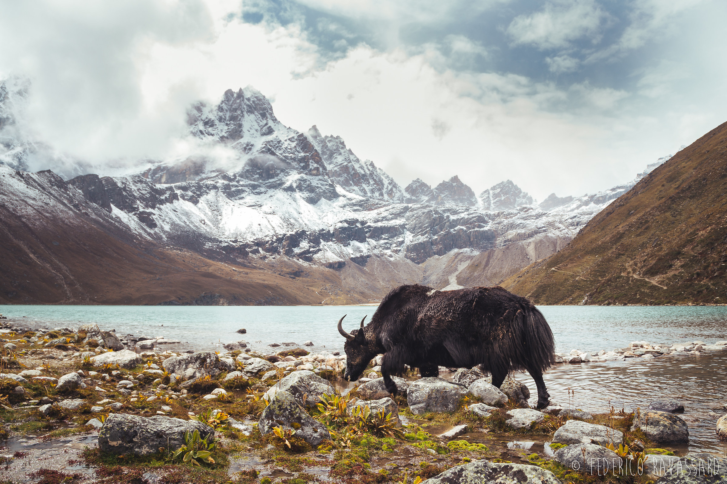 Land of the Yaks