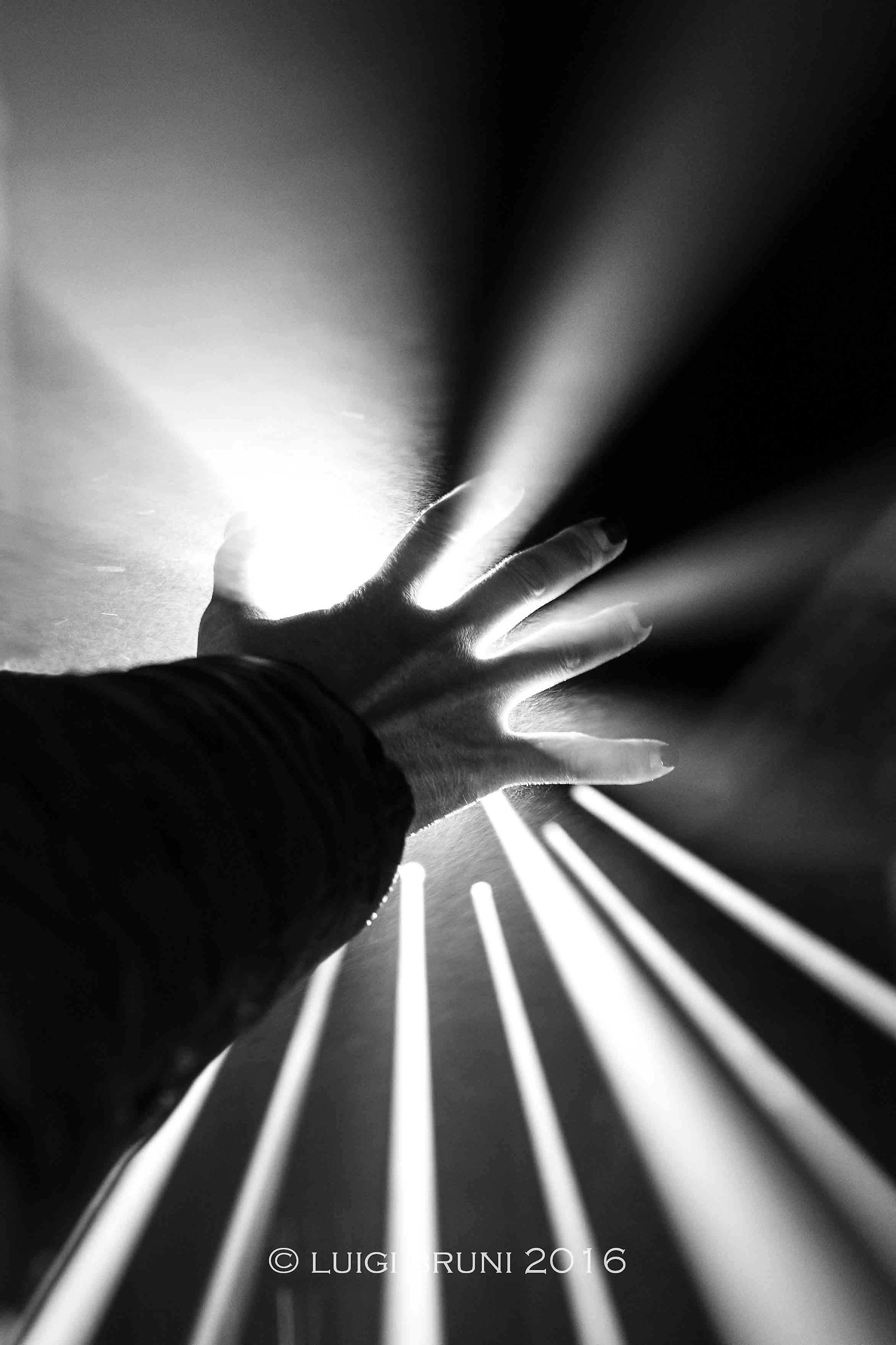 you can't catch the light