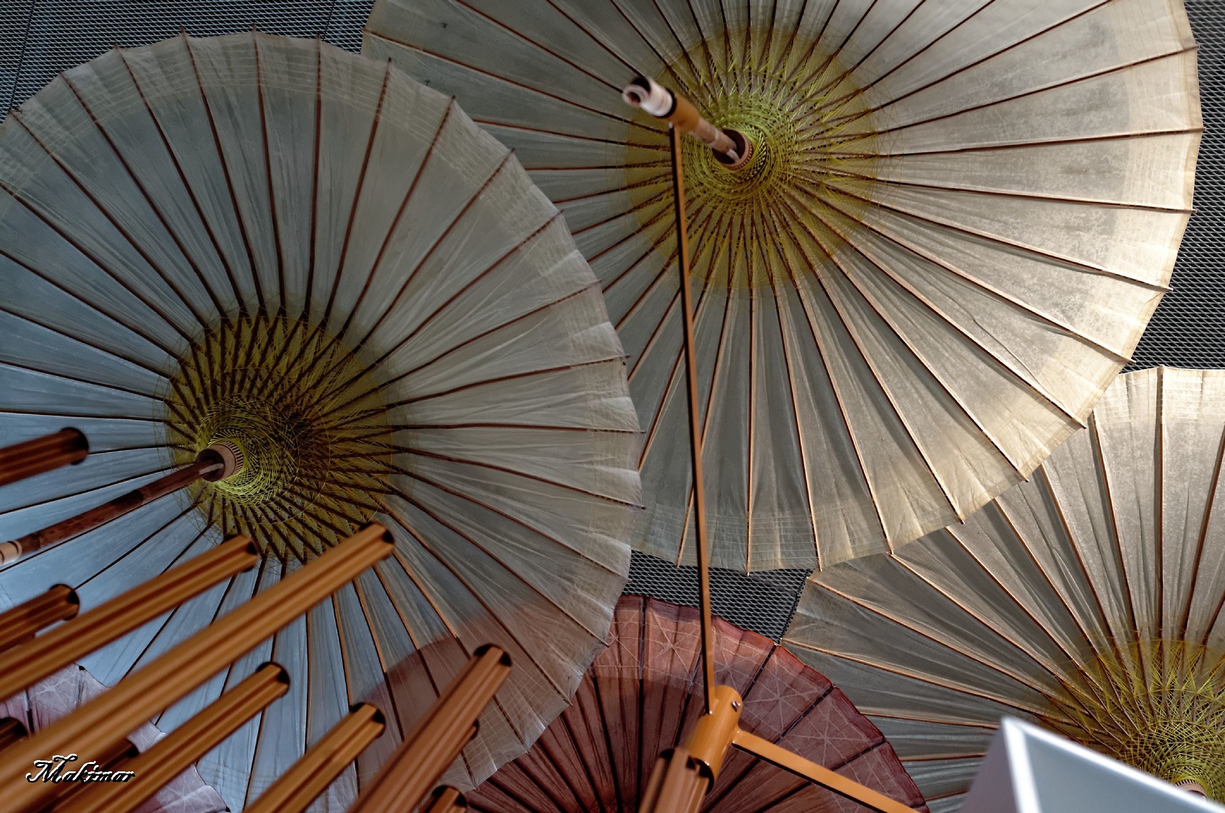 Umbrellas as flowers