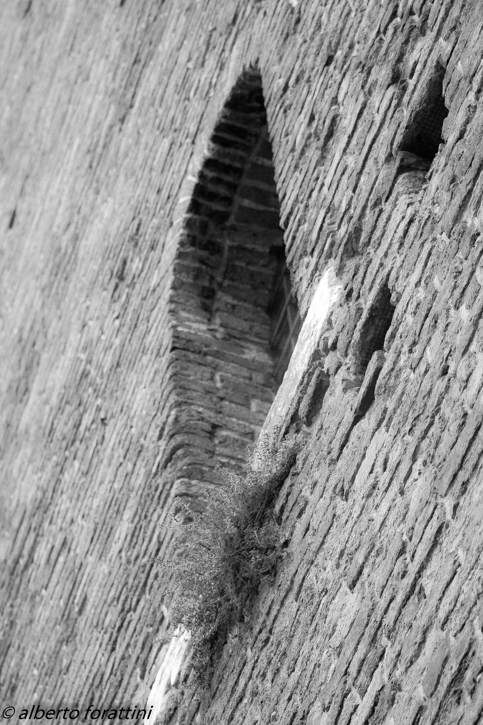 finestra della torre