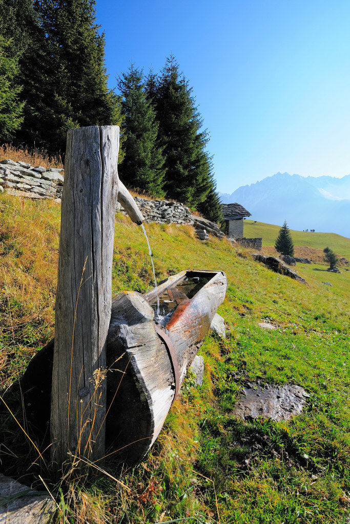 Fontana di pascolo alpino