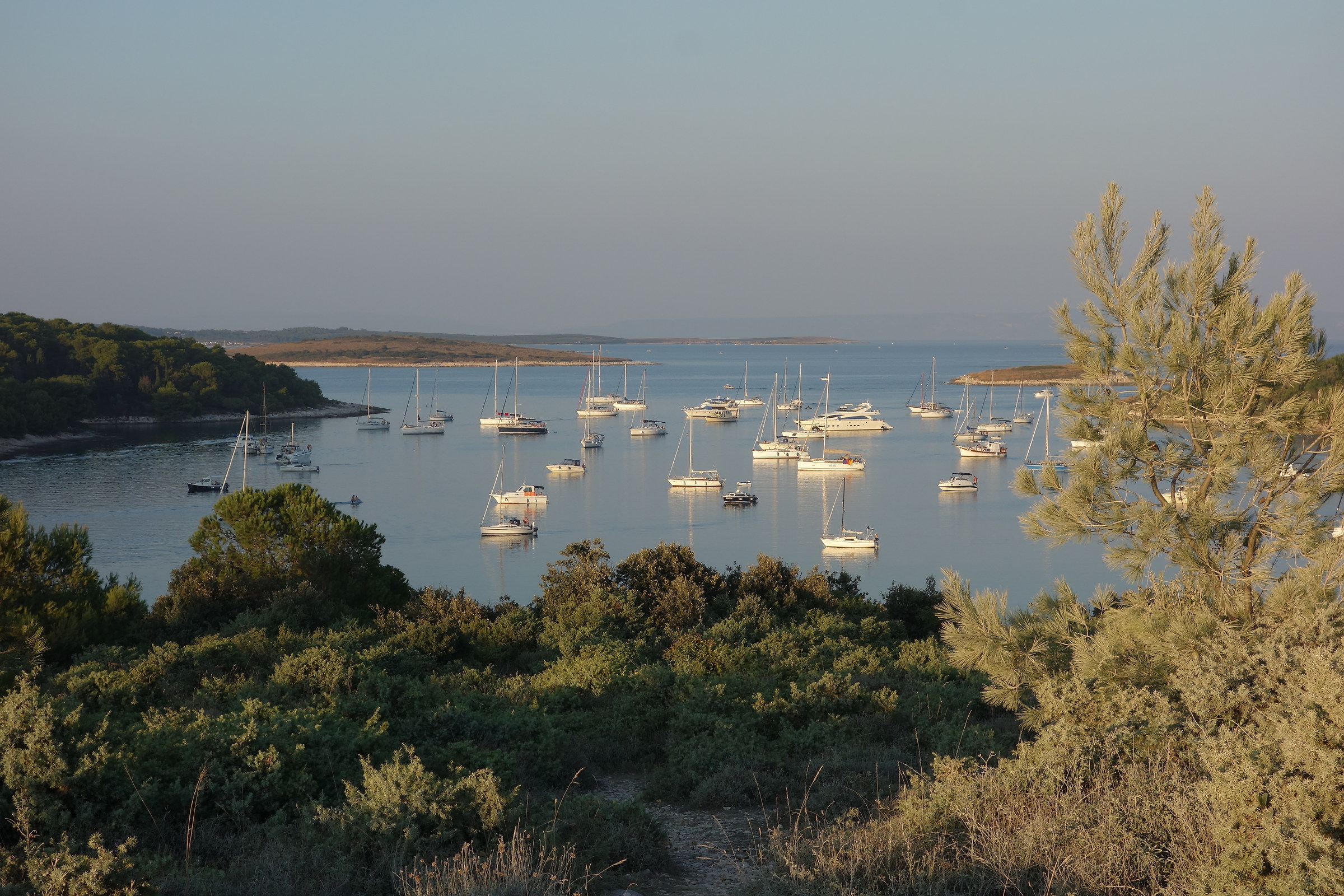 The rest of the boats all 'yet