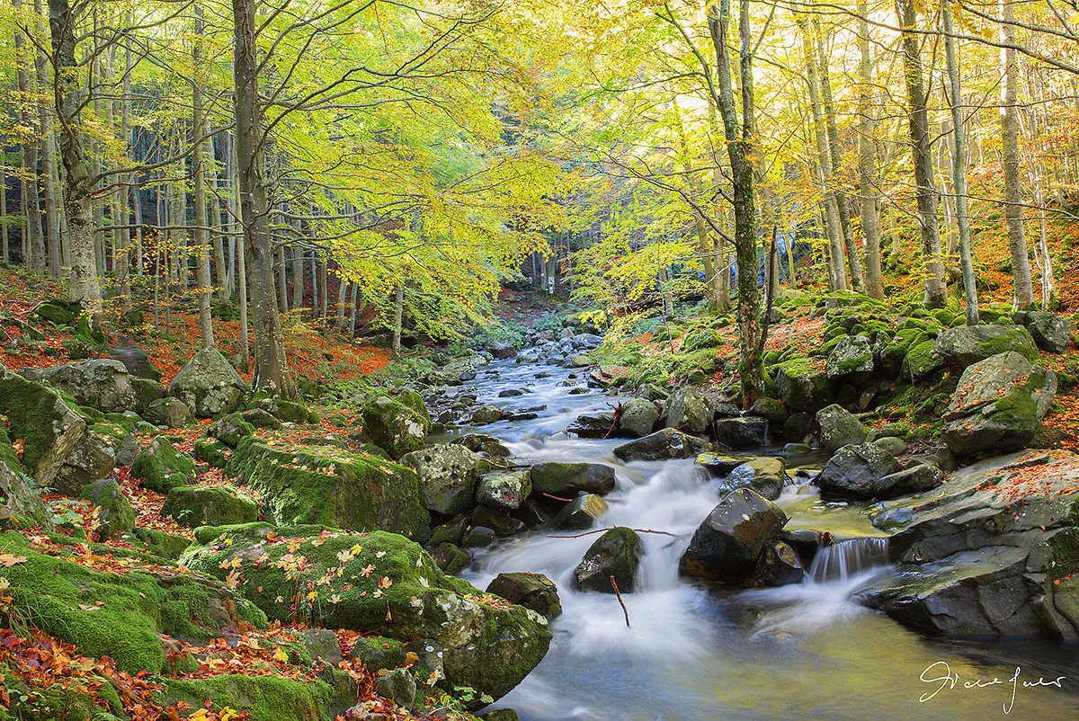 Torrent of Dardagna - Corno alle Scale (Bo)