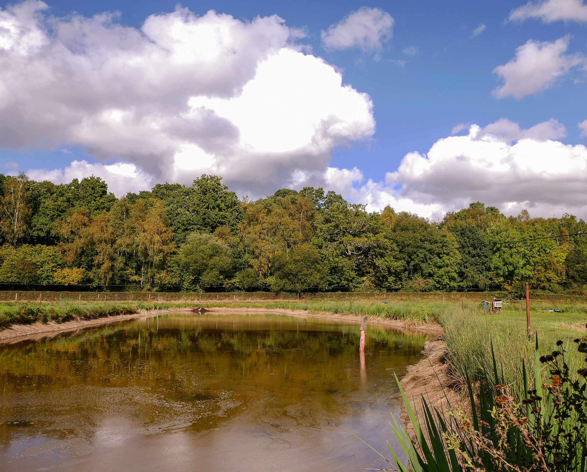 La ricarica di una piscina a Bowlake fishfarm