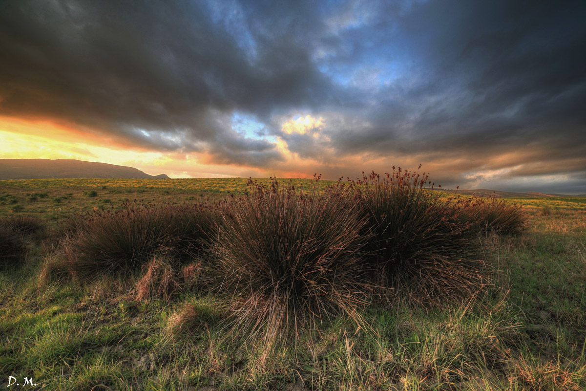 Sunset Trai fields in Sicily
