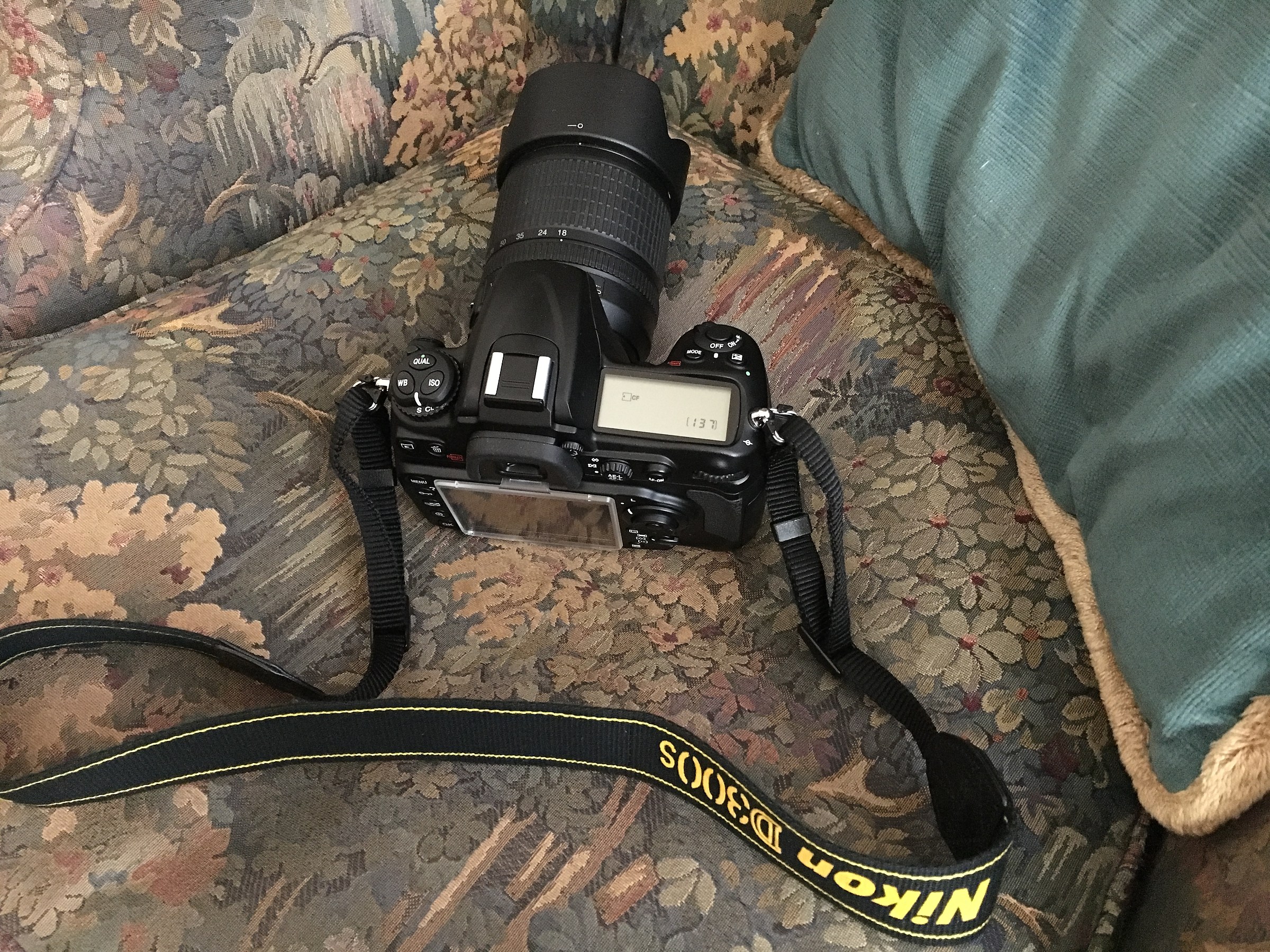 Nikon D300S & Nikkor 18-105