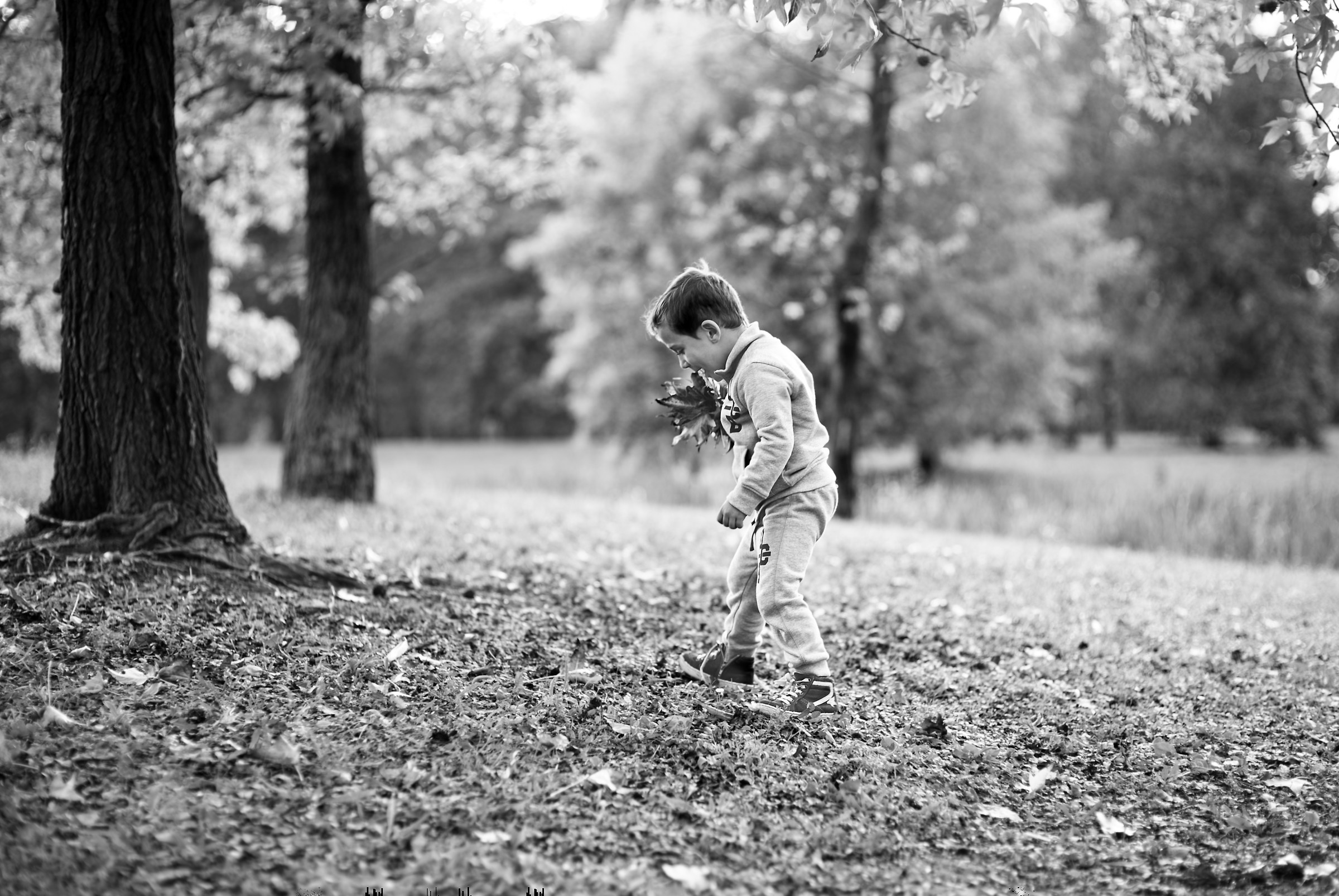 conversion A7s files processed by various monochrome +