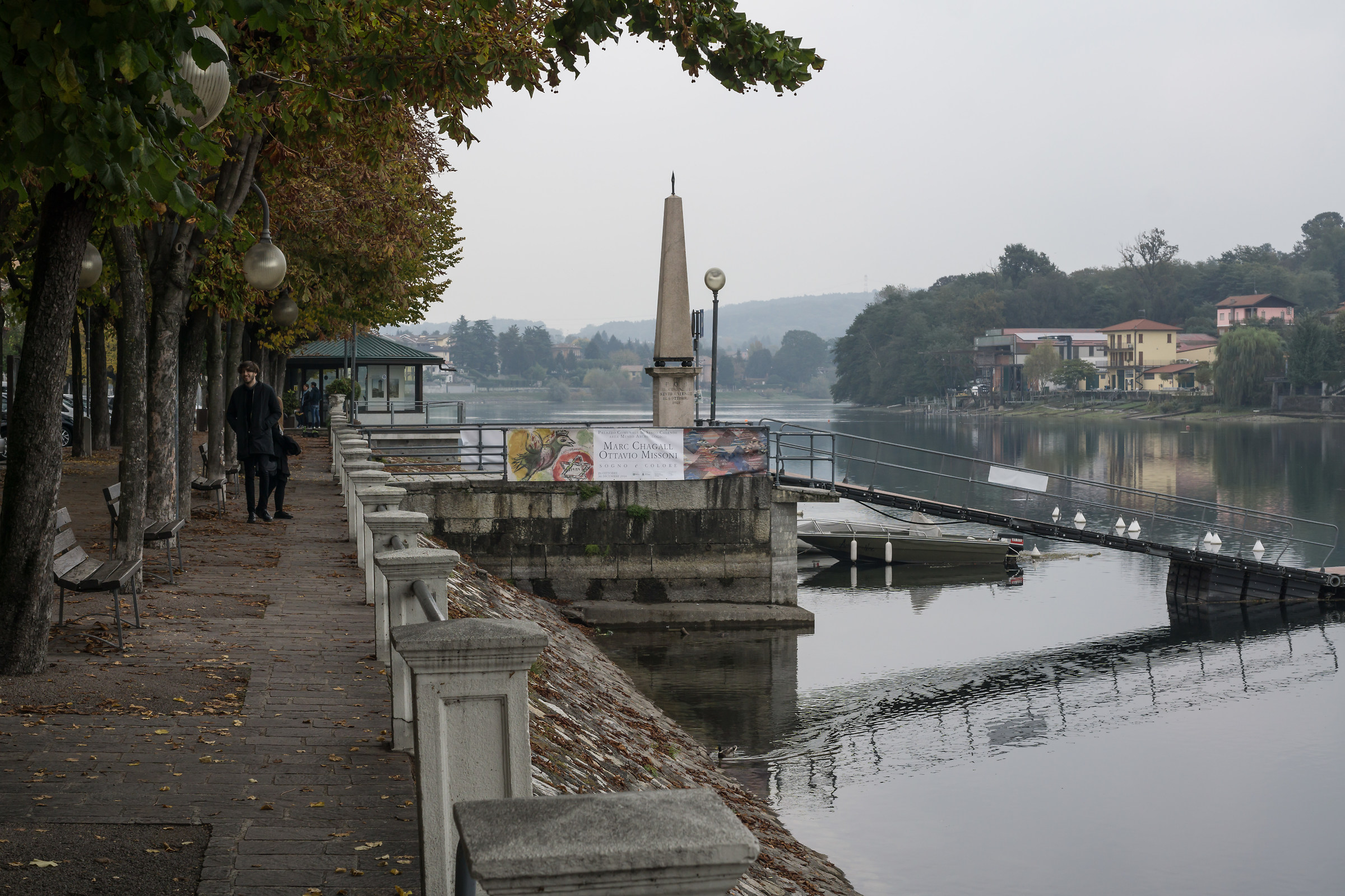 Zhongyi Lens Turbo II e Micro Nikkor 55mm f/2.8 Ai-S -5