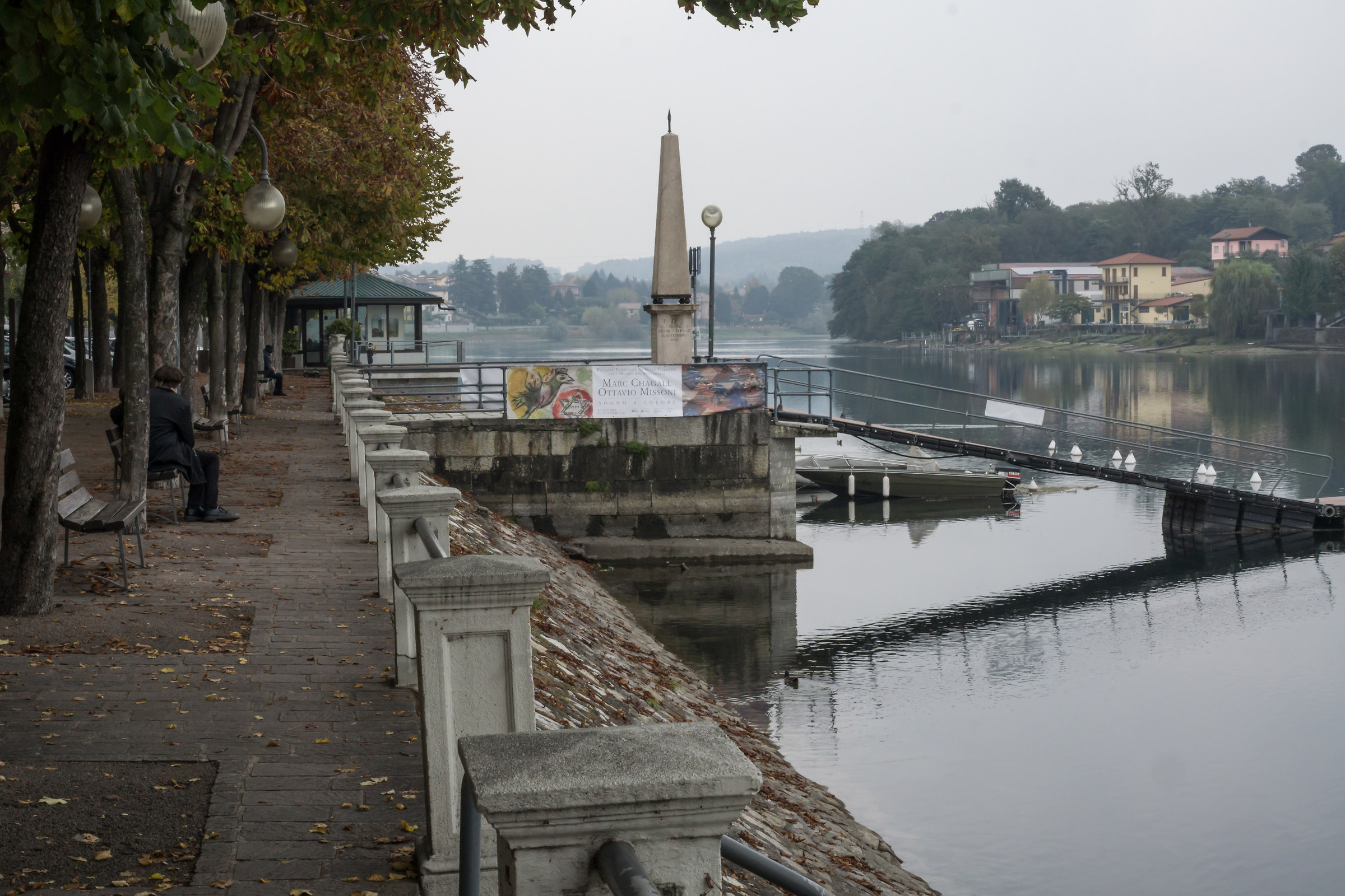 Zhongyi Lens Turbo II e Micro Nikkor 55mm f/2.8 Ai-S -7